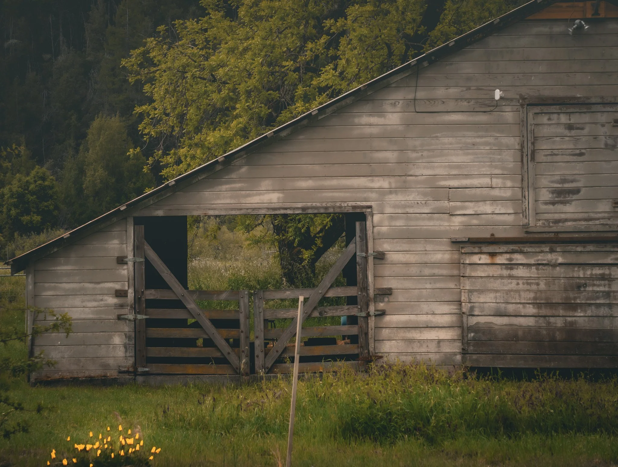 Mendo Barn I