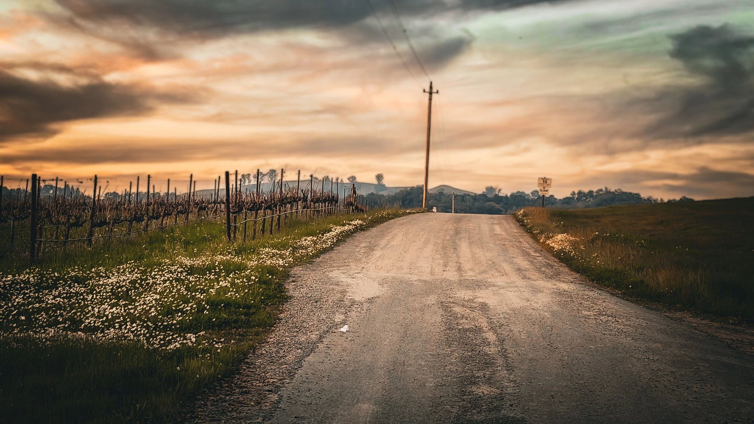 Healdsburg, Ca-Country Road-01