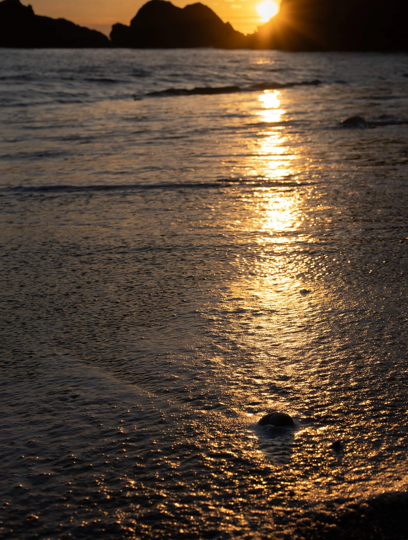 Mendocino Coast III
