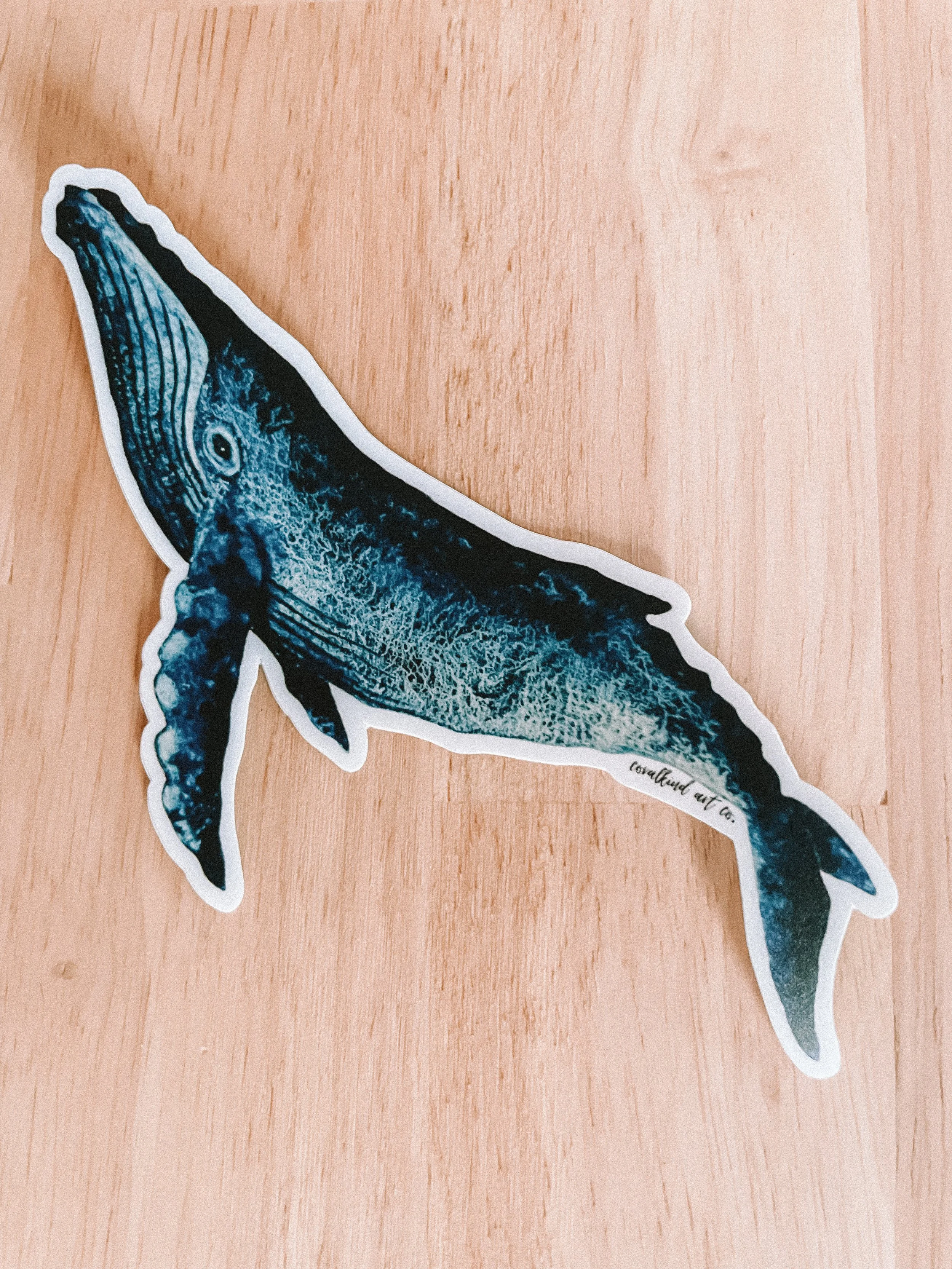humpback whale watercolour sticker