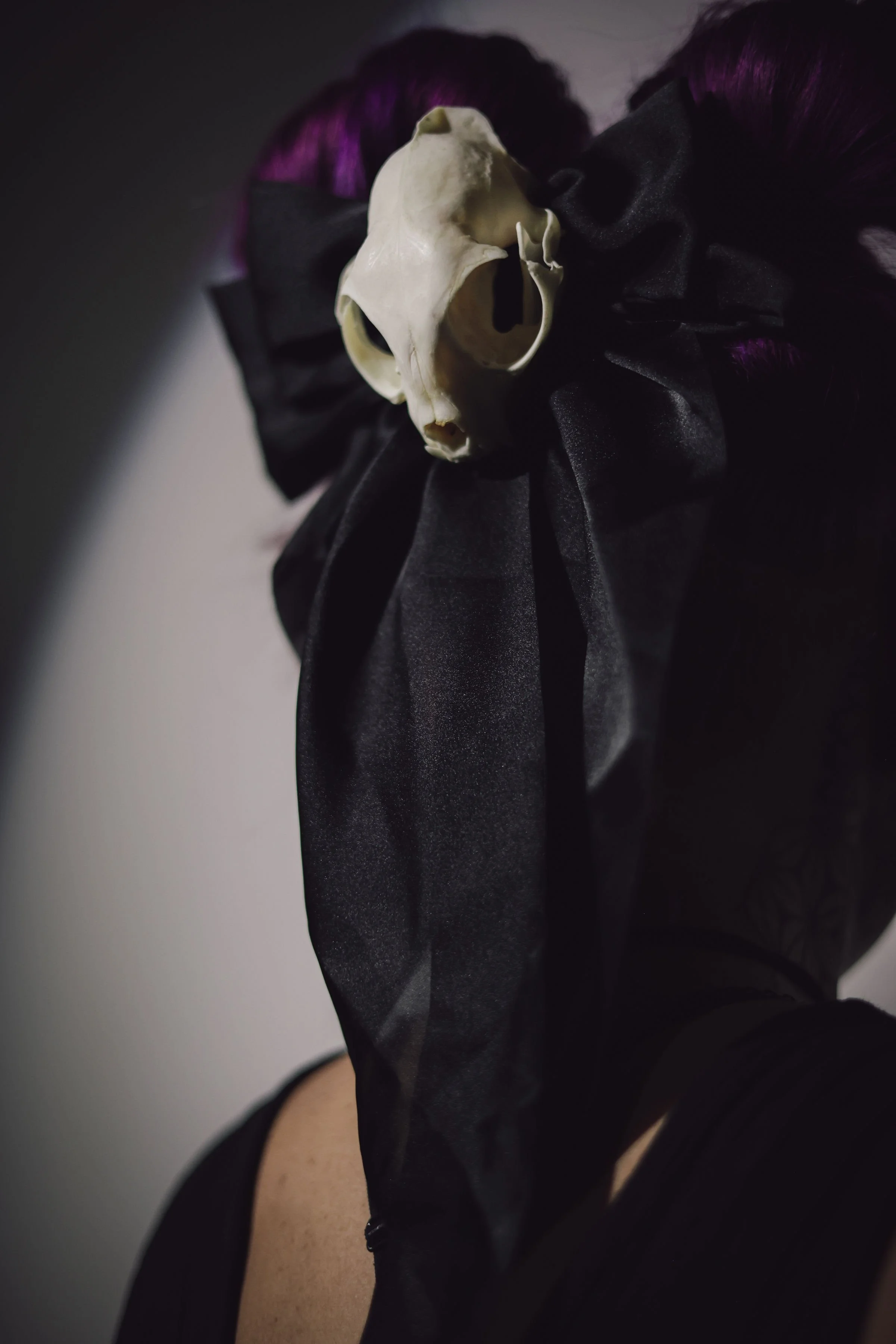 Cat Skull Bow