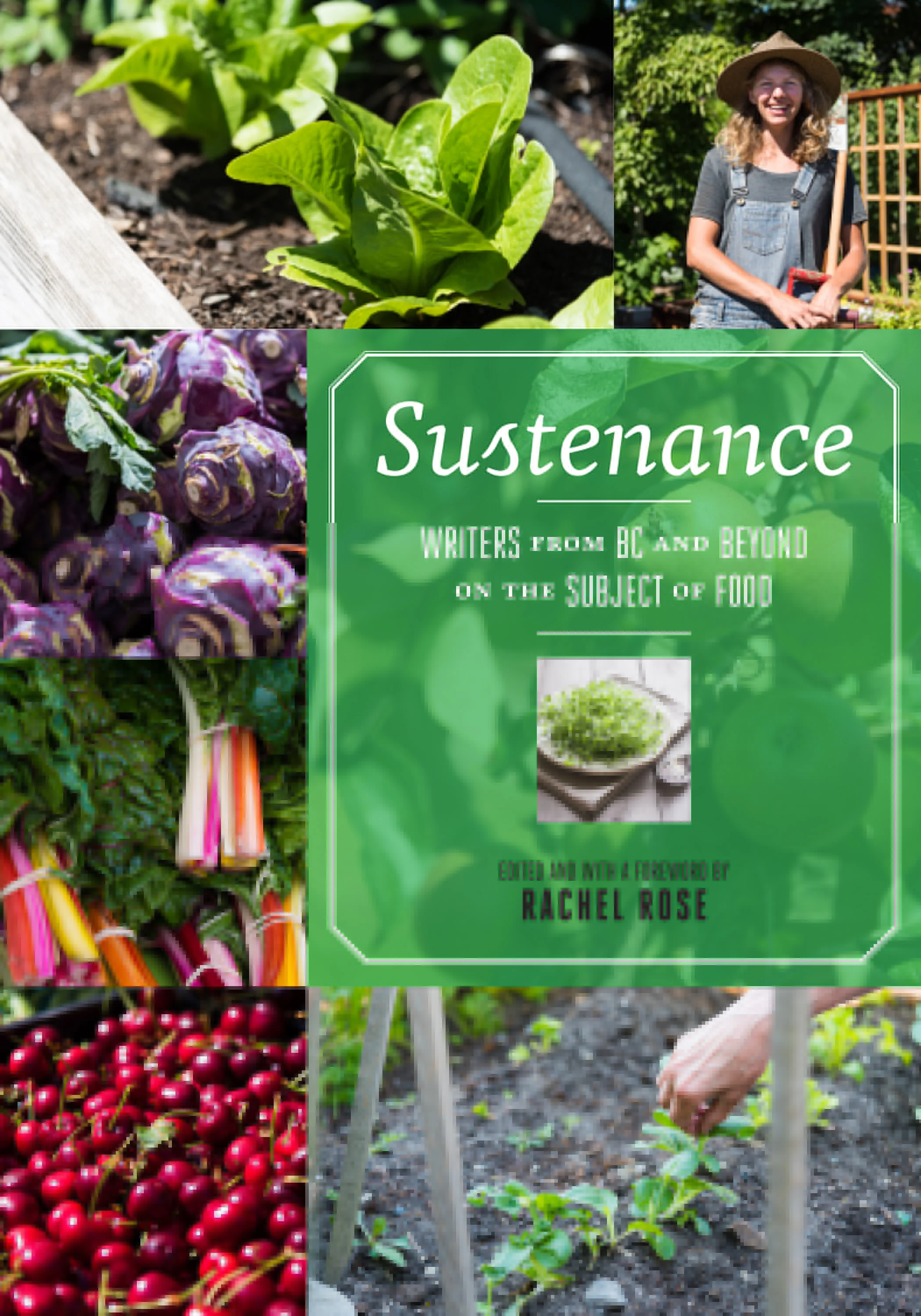 Sustenance Rachel Rose Book