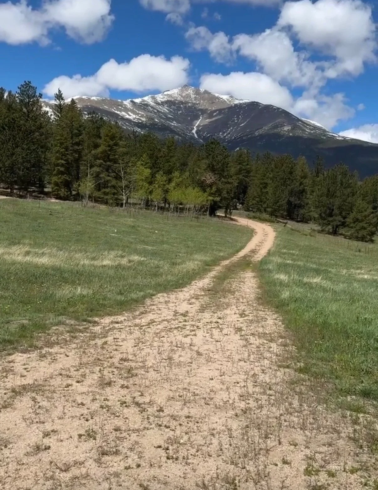 A dirt path curving through green grass with trees on either side, leading toward snow-covered mountains under a partly cloudy sky.