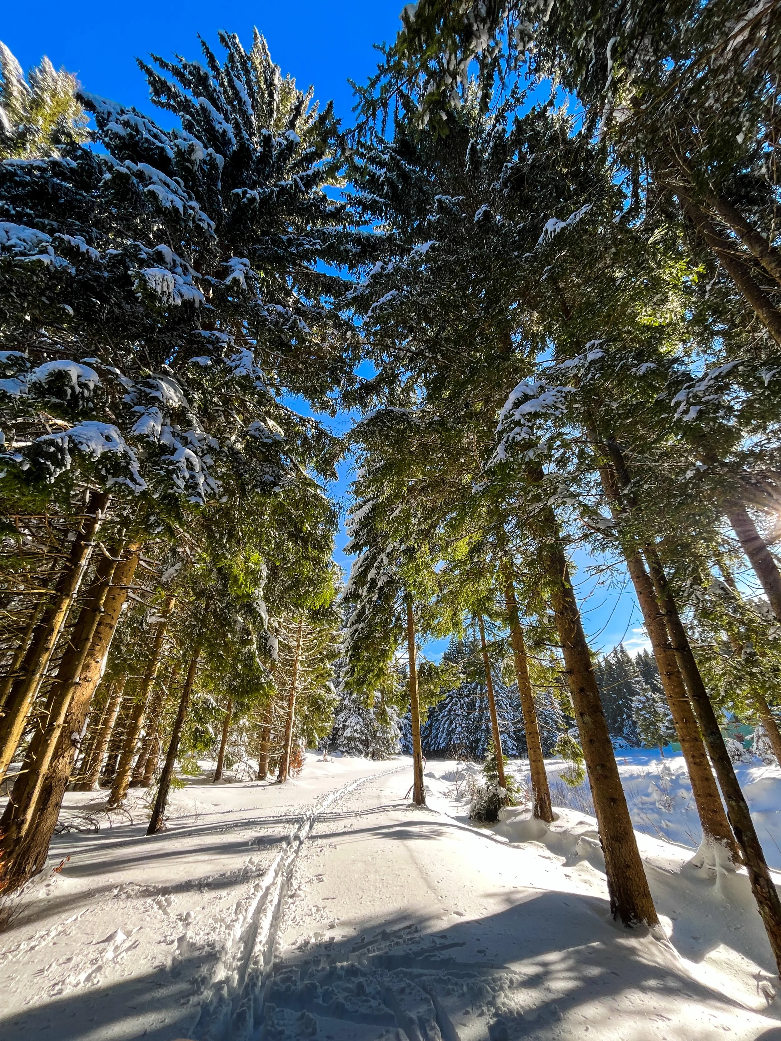Cross country skiing near Estes Park and Allenspark Colorado by Rocky Mountain National Park