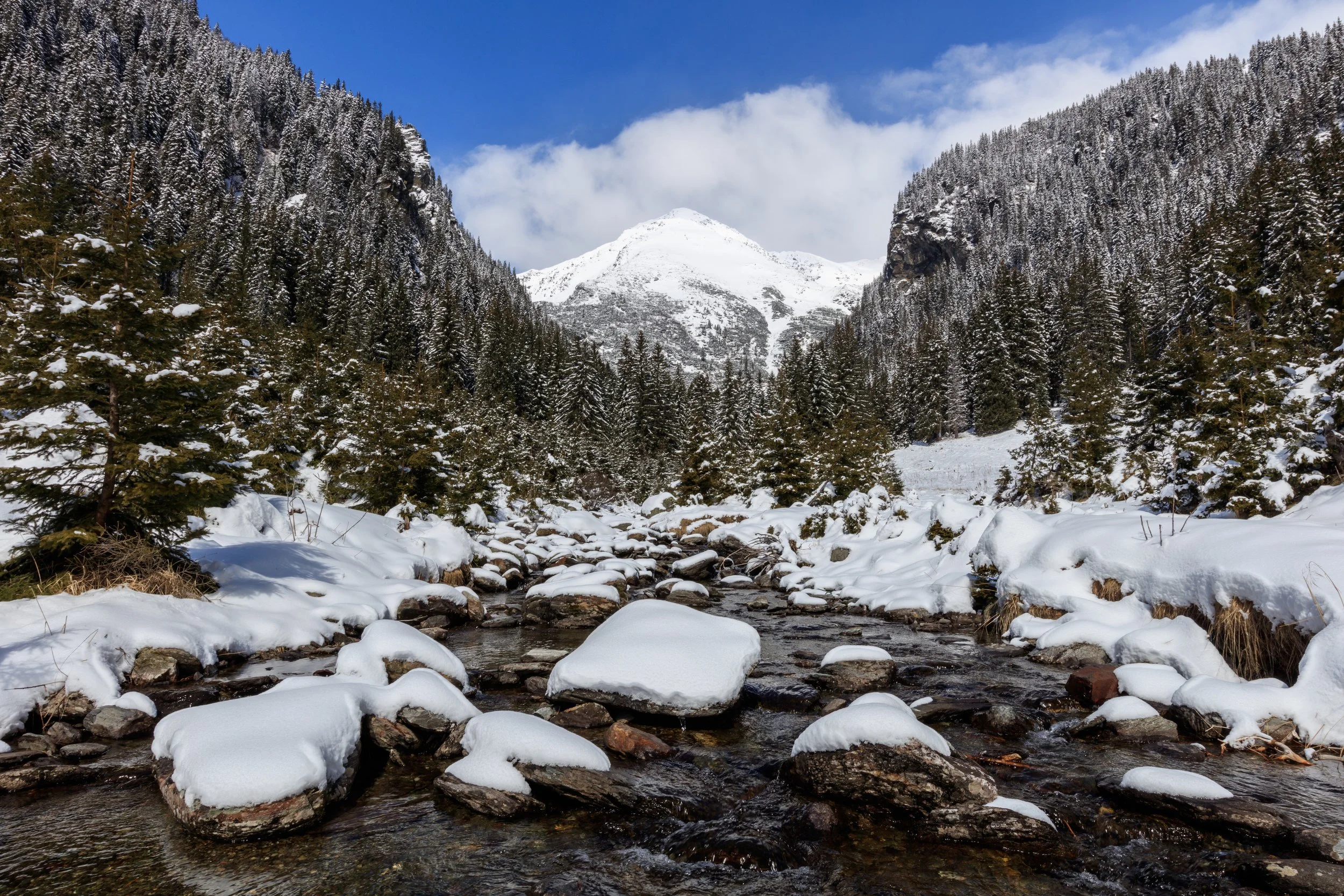 A breathtaking winter landscape in Rocky Mountain National Park, Colorado, featuring majestic snow-covered mountain peaks, dense evergreen forests blanketed in fresh powder, frozen alpine lakes, and sparkling snow beneath a brilliant blue winter sky.