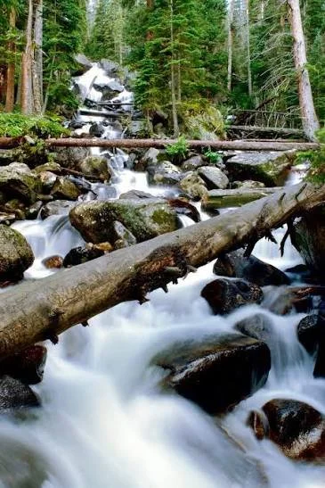 A stunning view of Calypso Cascades in Rocky Mountain National Park, Colorado, featuring crystal-clear mountain water flowing gracefully over smooth granite rocks in a series of cascading waterfalls.