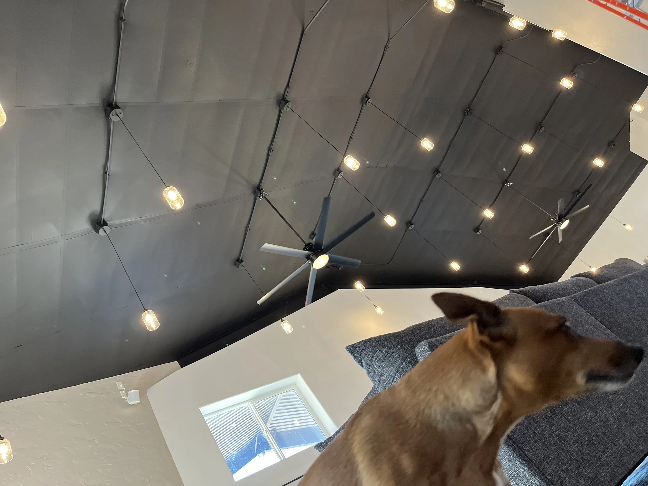 Poppy — Security Team Super B Electric LLC