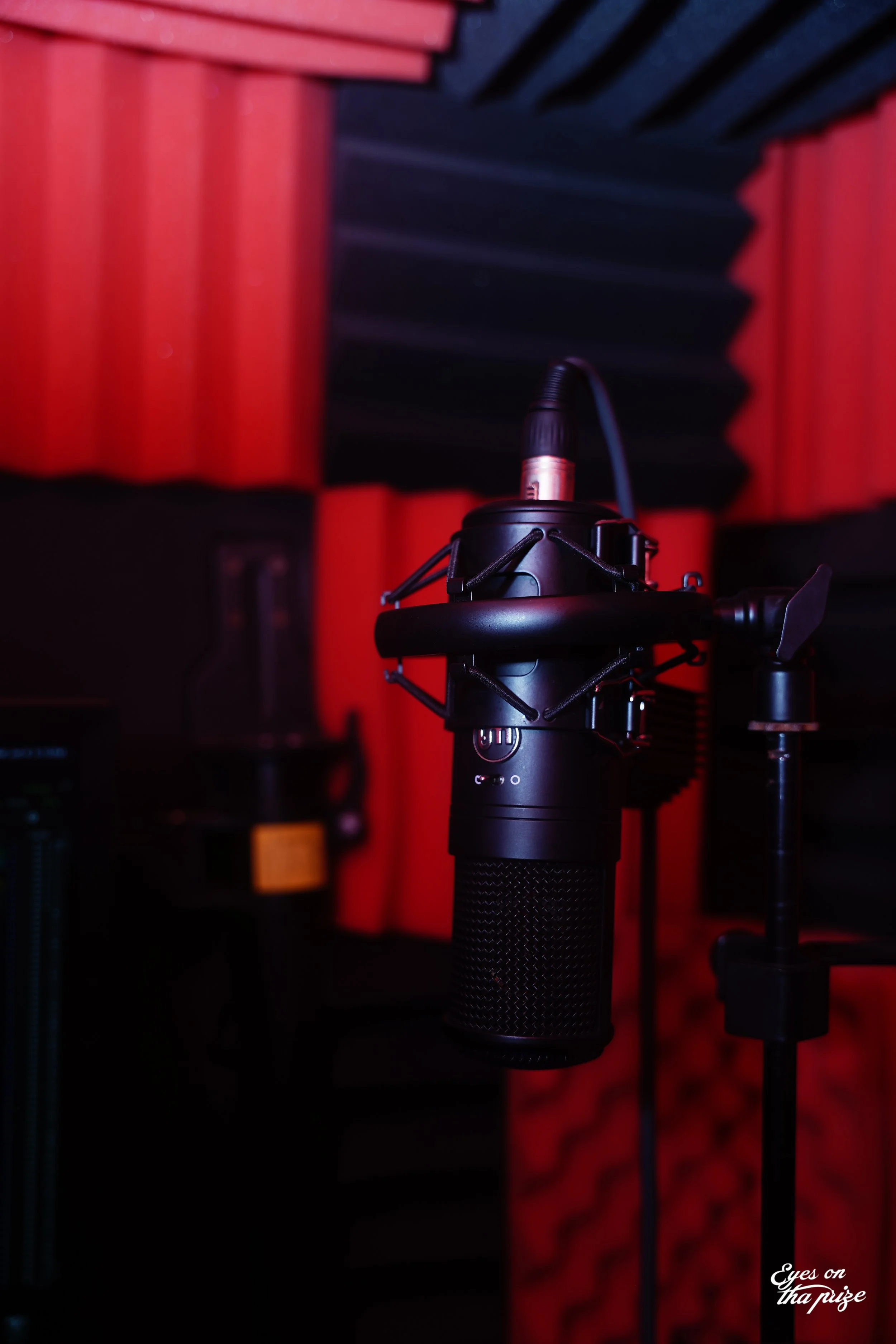 Close-up of a professional microphone in a recording studio with red and black acoustic foam panels in the background.