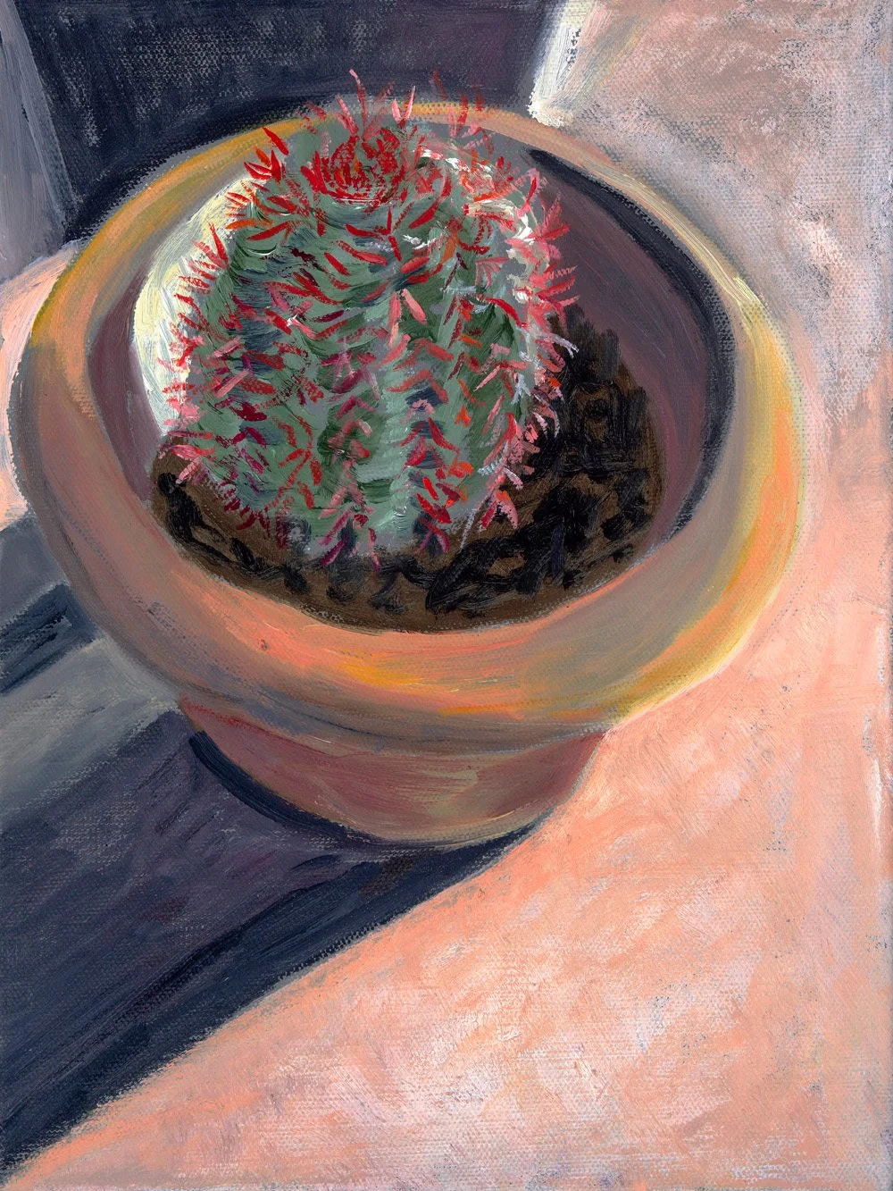 imgi_9_Potted_Red-thorn_vertical_-_12_x_9_dhhrs1.jpg