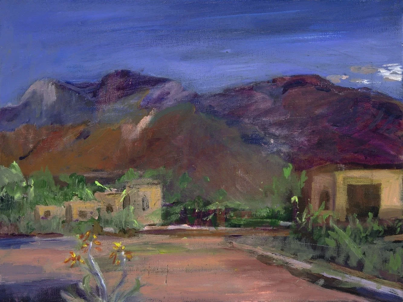 Tucson Adobes