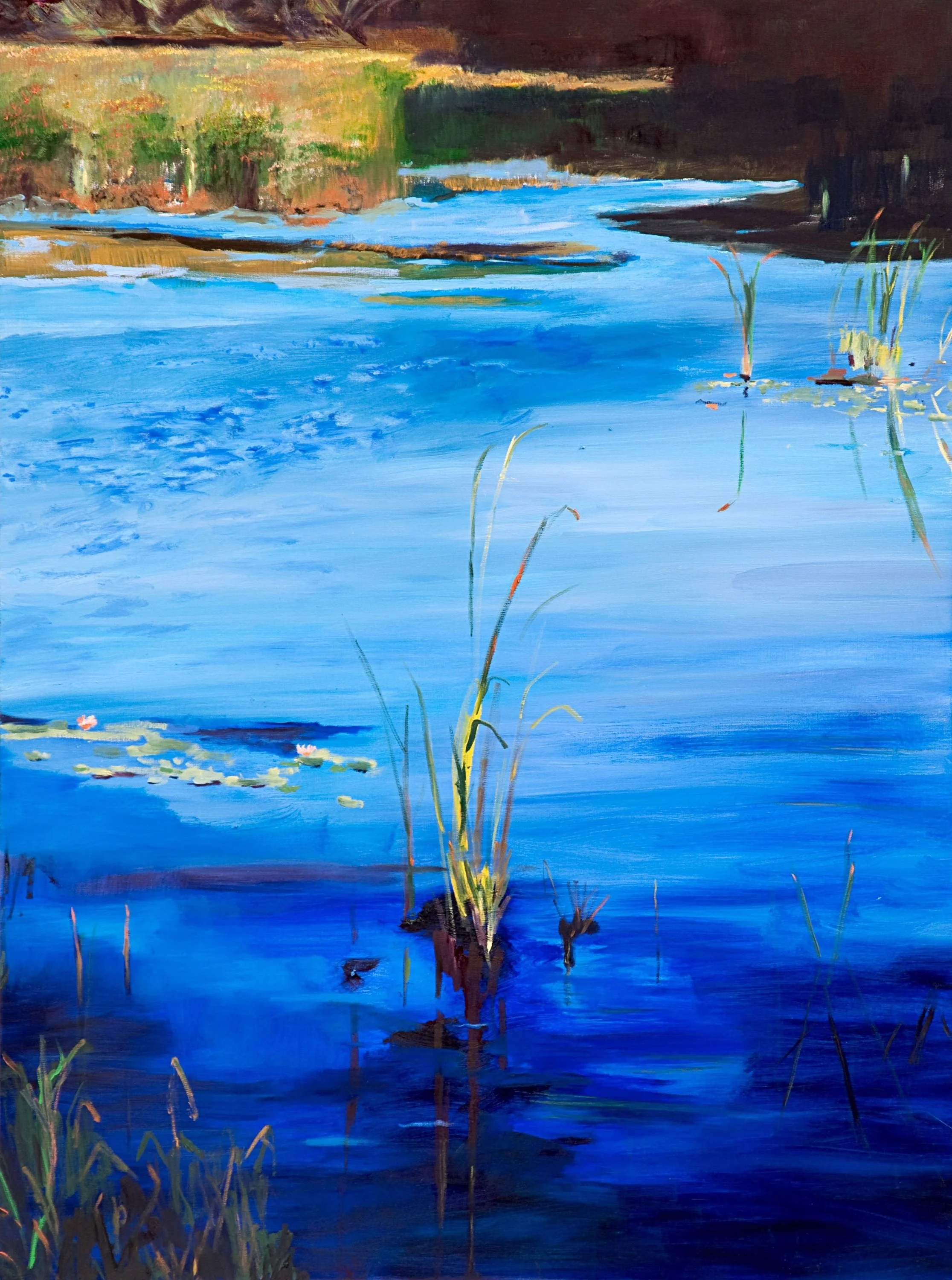 Kennebunkport Pond