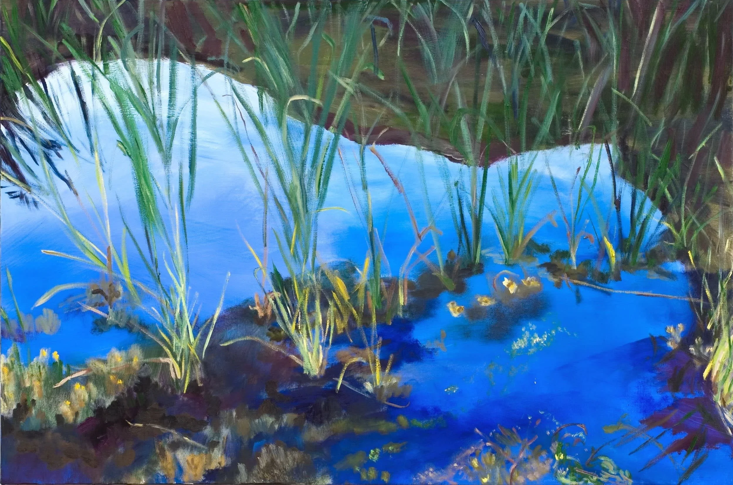 Cattails