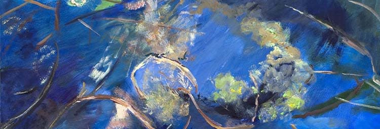 imgi_4_07.-Pond-Abstract_750x256_crop_ivbu5x.jpg