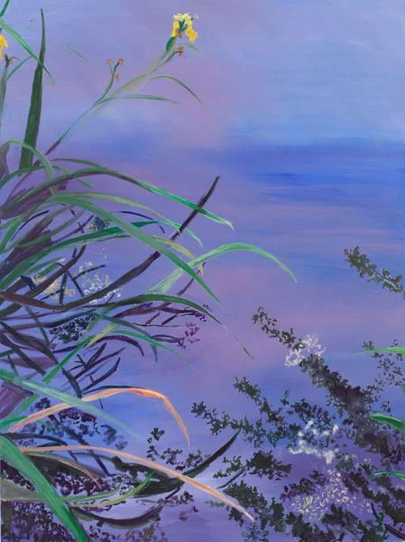 imgi_6_01.-Reflections-in-Bullough_s-Pond_b5q0dg.jpg