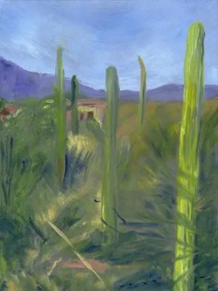 imgi_8_Veiled_Cacti_at_Sin_Vacas_-_16_x_12_x3wk2f.jpg