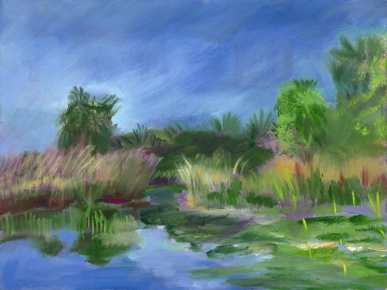 Agua Caliente Park