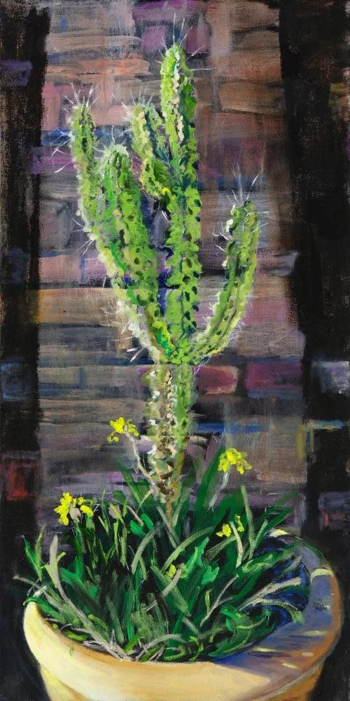 imgi_9_Toothpick_Cactus_glptkg.jpg
