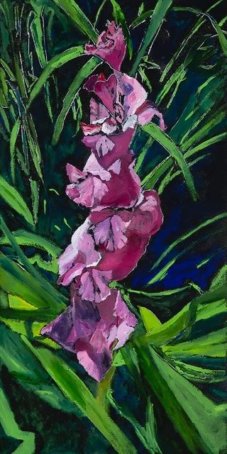 Gladiola