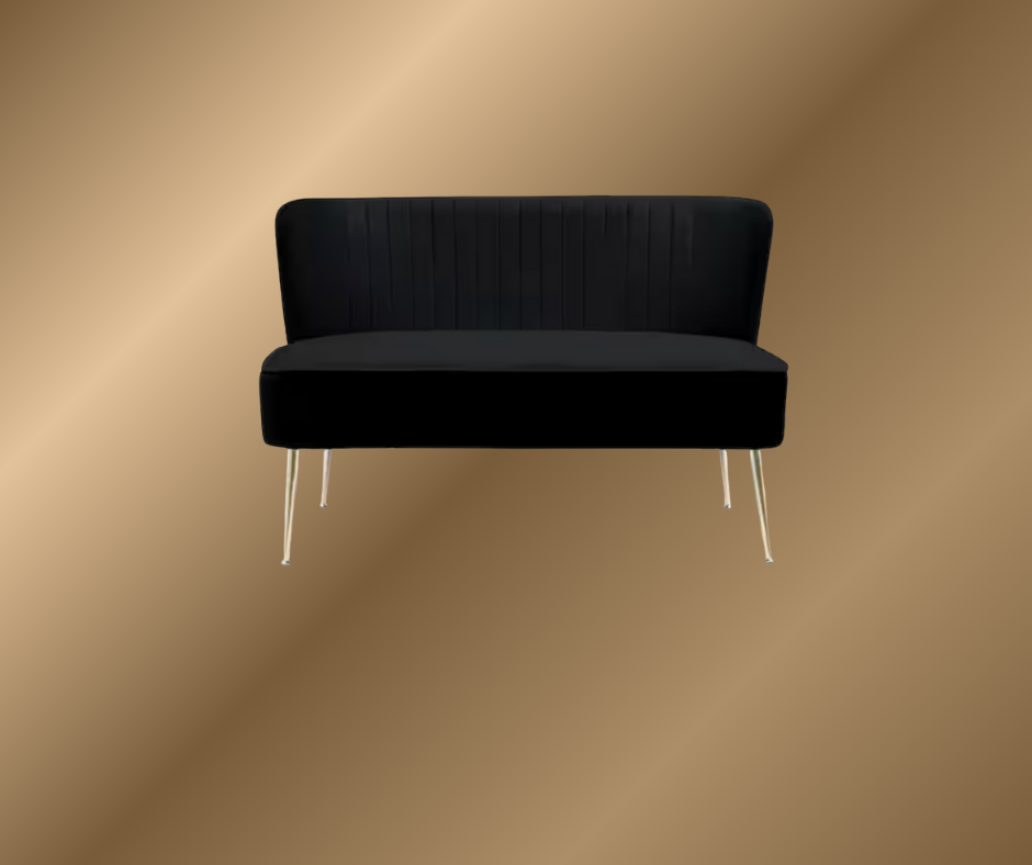 Black Velvet Couch