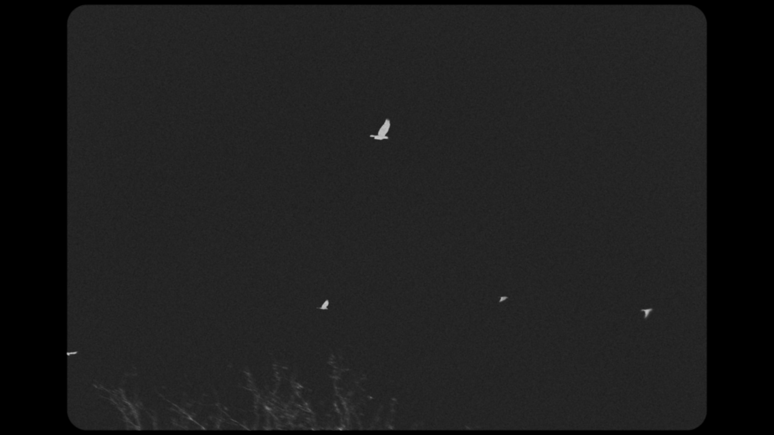 Still 2026-02-19 143846_1.18.1.jpg