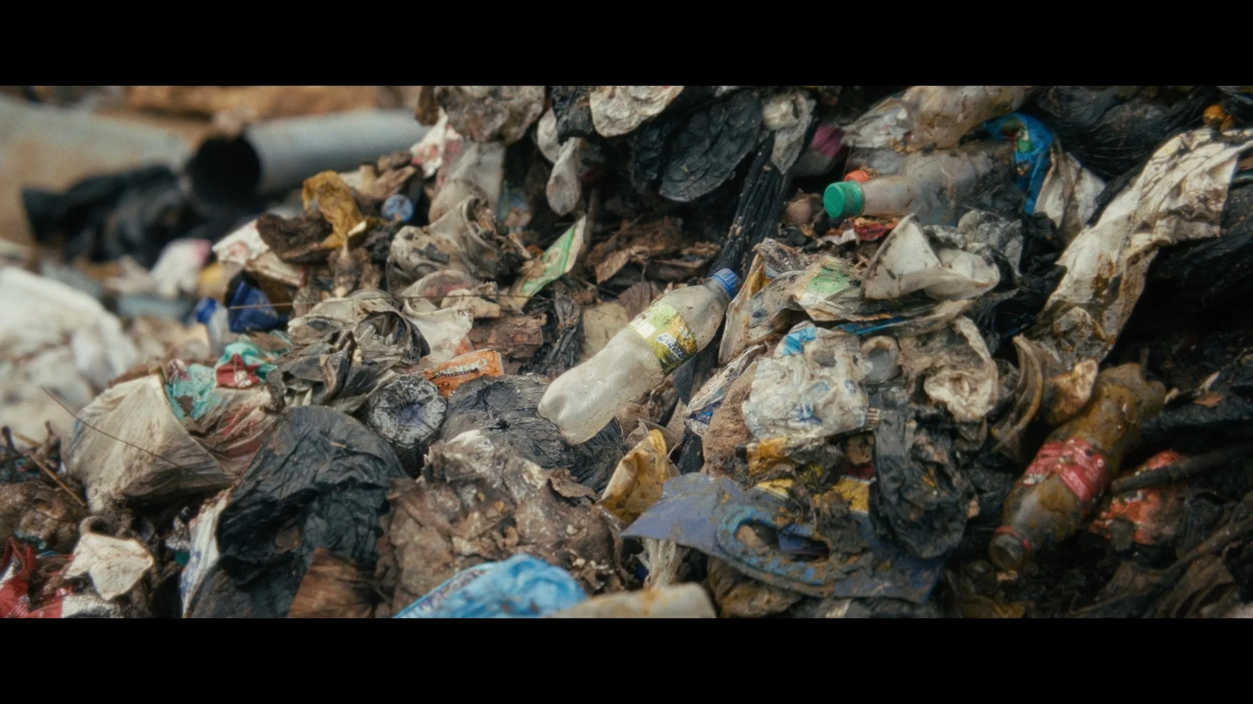 Still 2026-01-28 111019_2.1.14.jpg