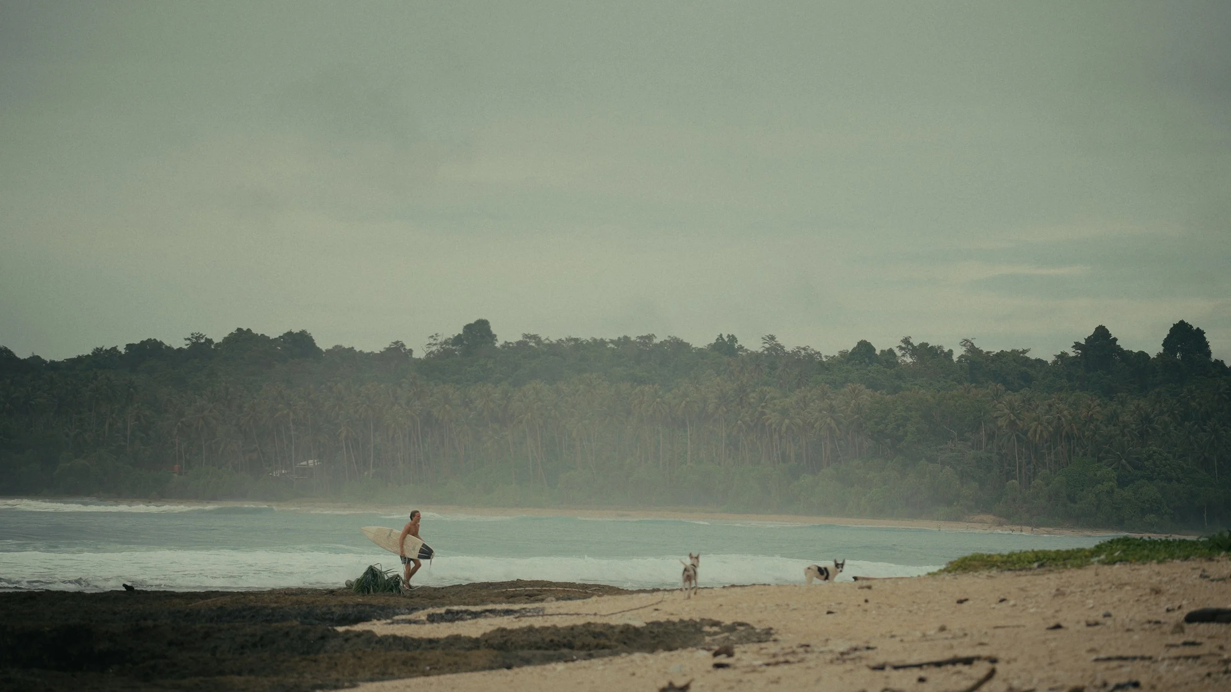 Still 2026-01-17 143003_1.135.1.jpg