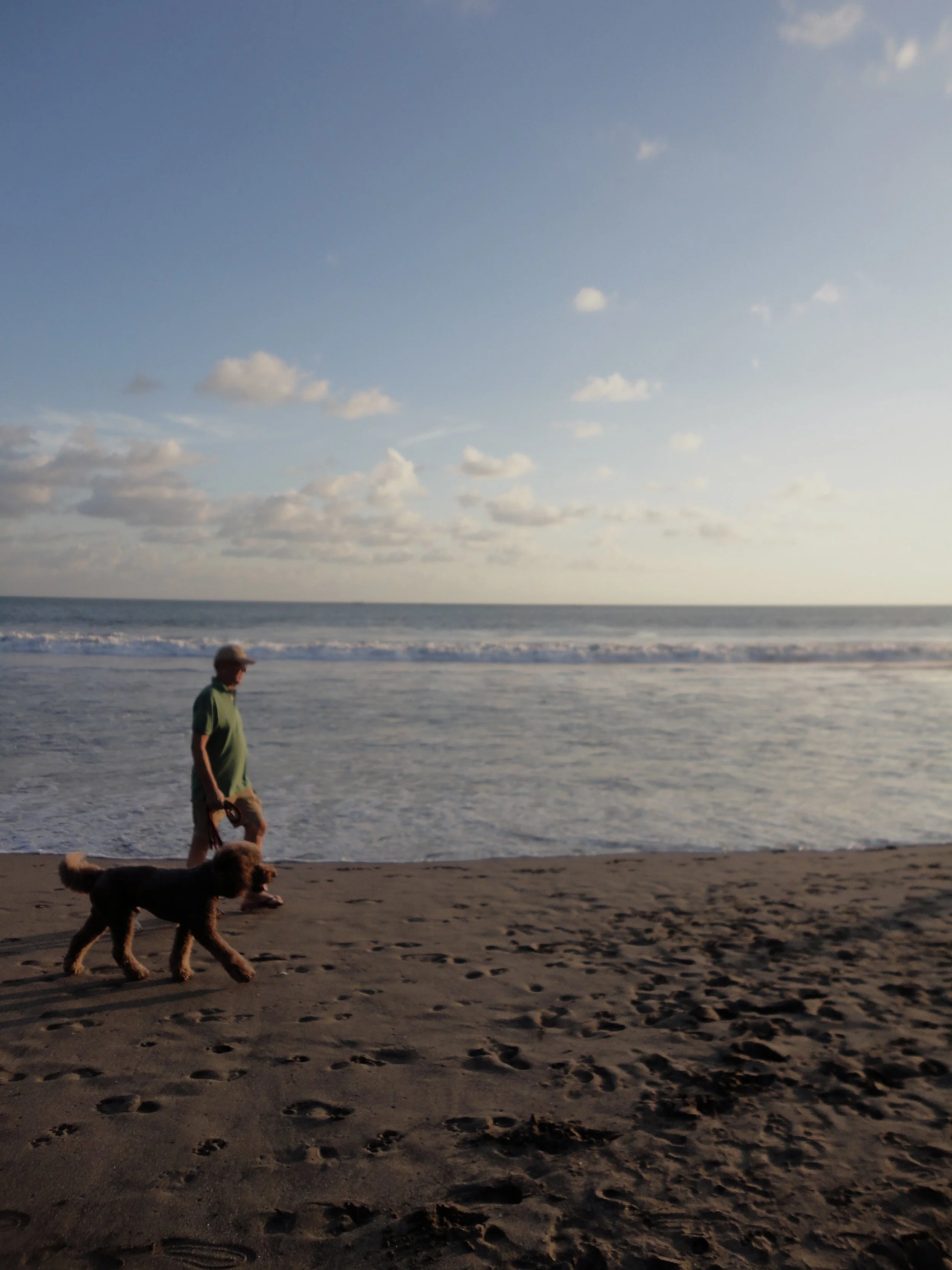 An elderly man walking a dog along the beach at sunset, with the ocean and a partly cloudy sky in the background.