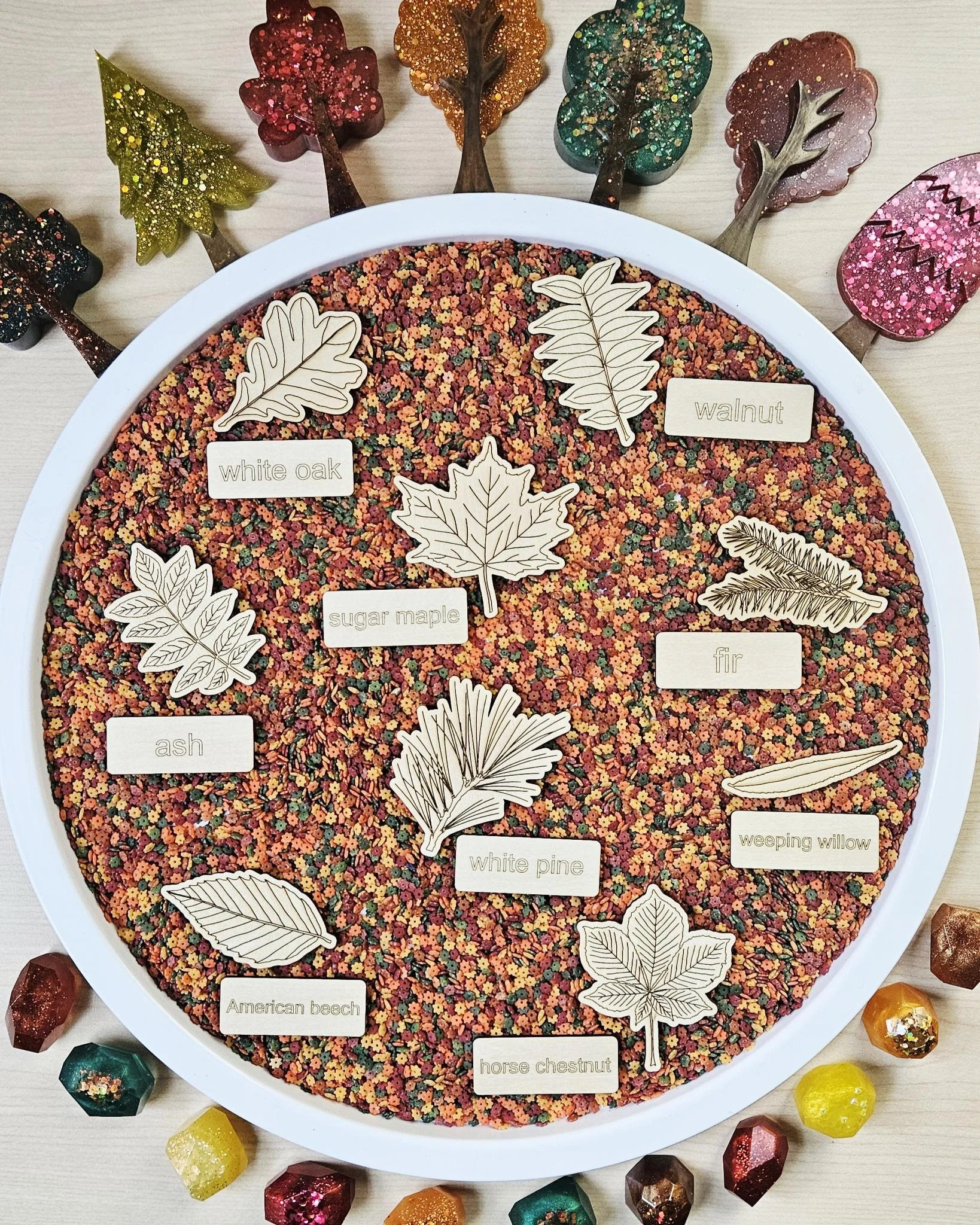 Leaf Dichotomous Key