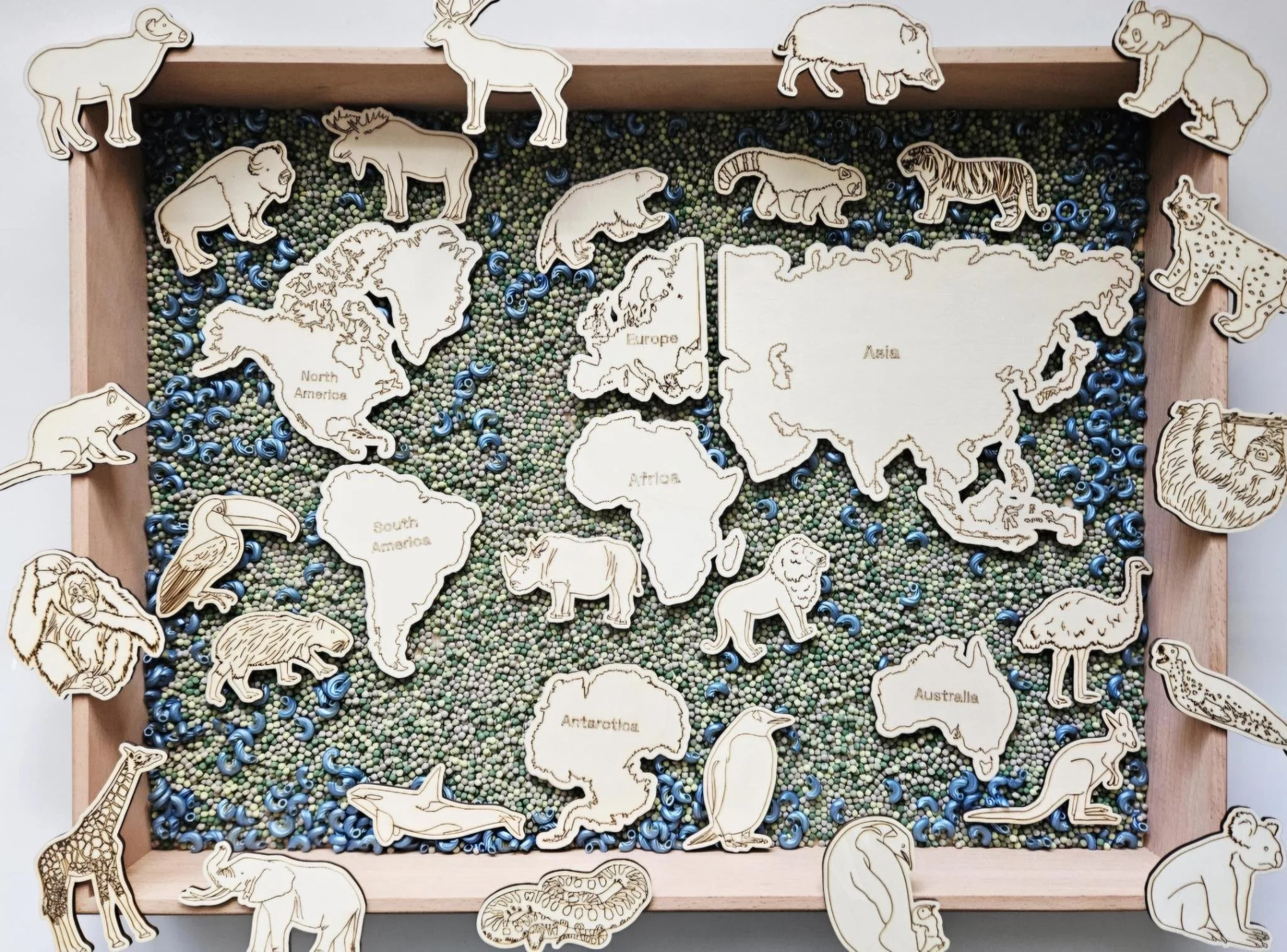 Continent and Animal