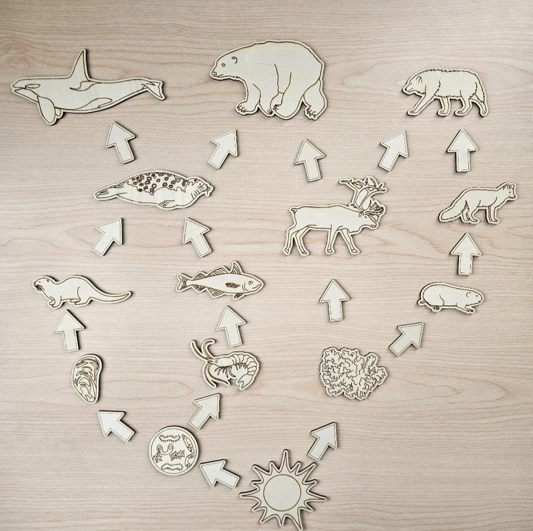Artic Animal Food Web