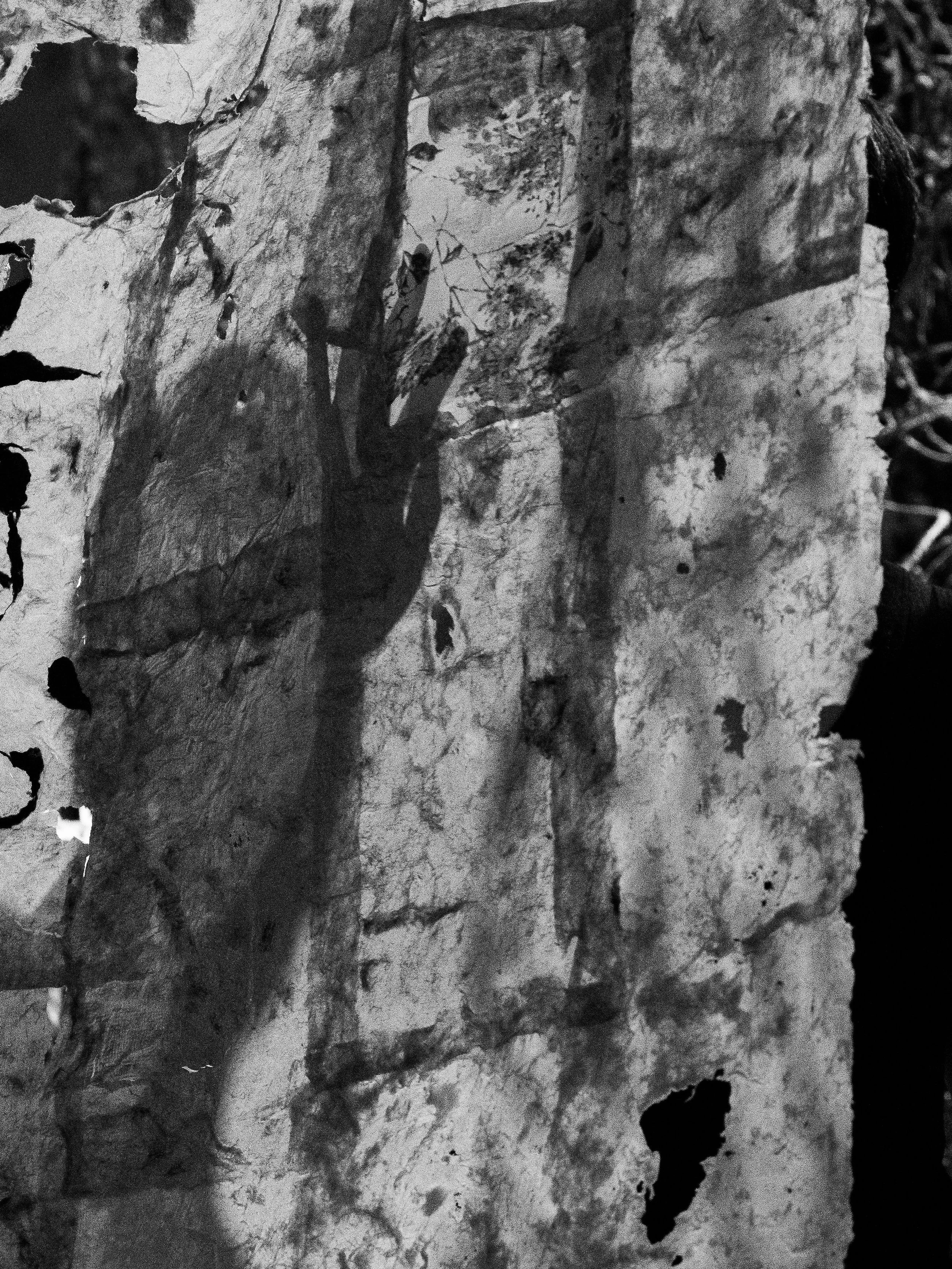 Photo Credit: Bee Marree