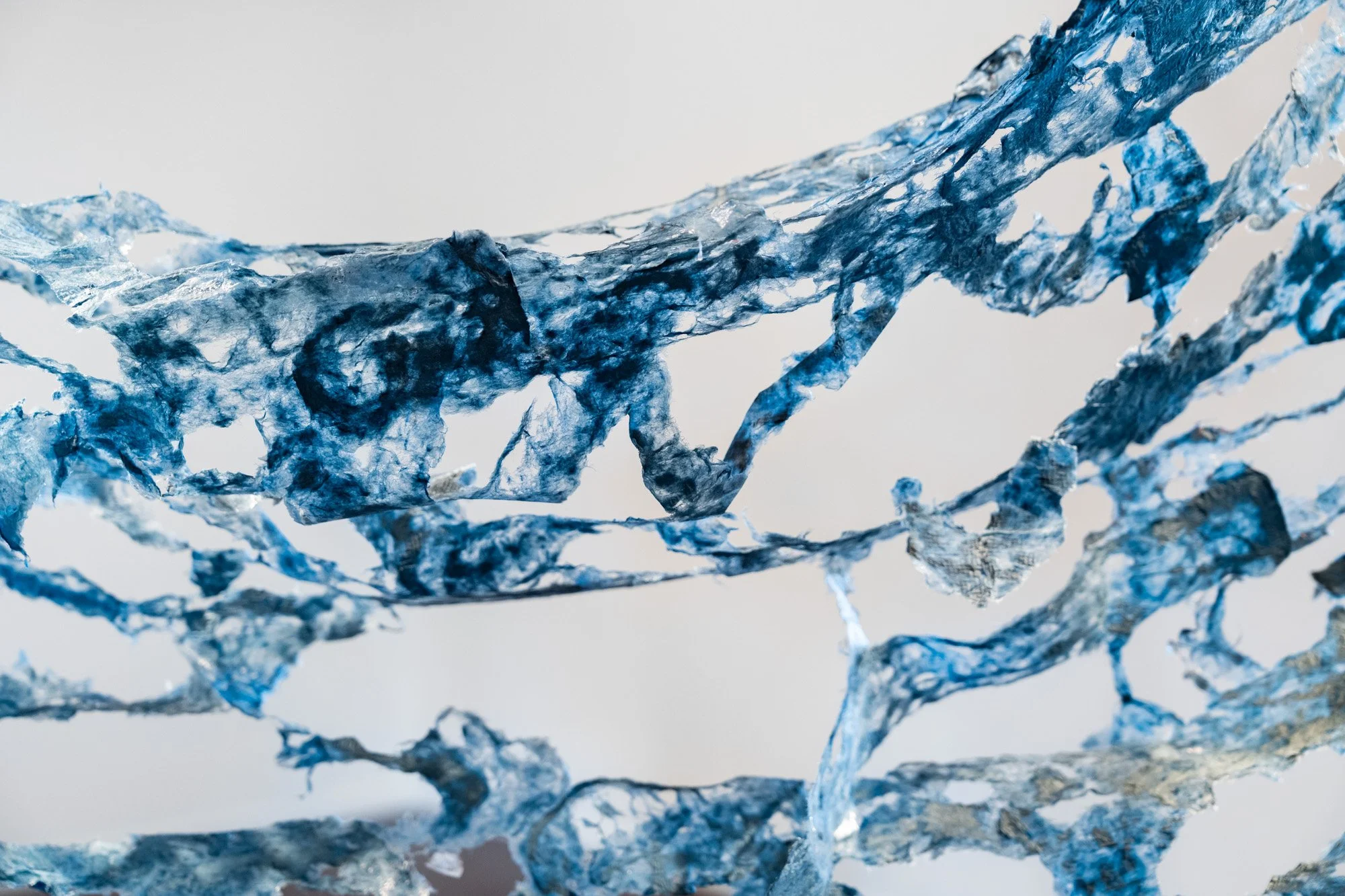 Ipswich Community Gallery 20260226 LR-38.jpg