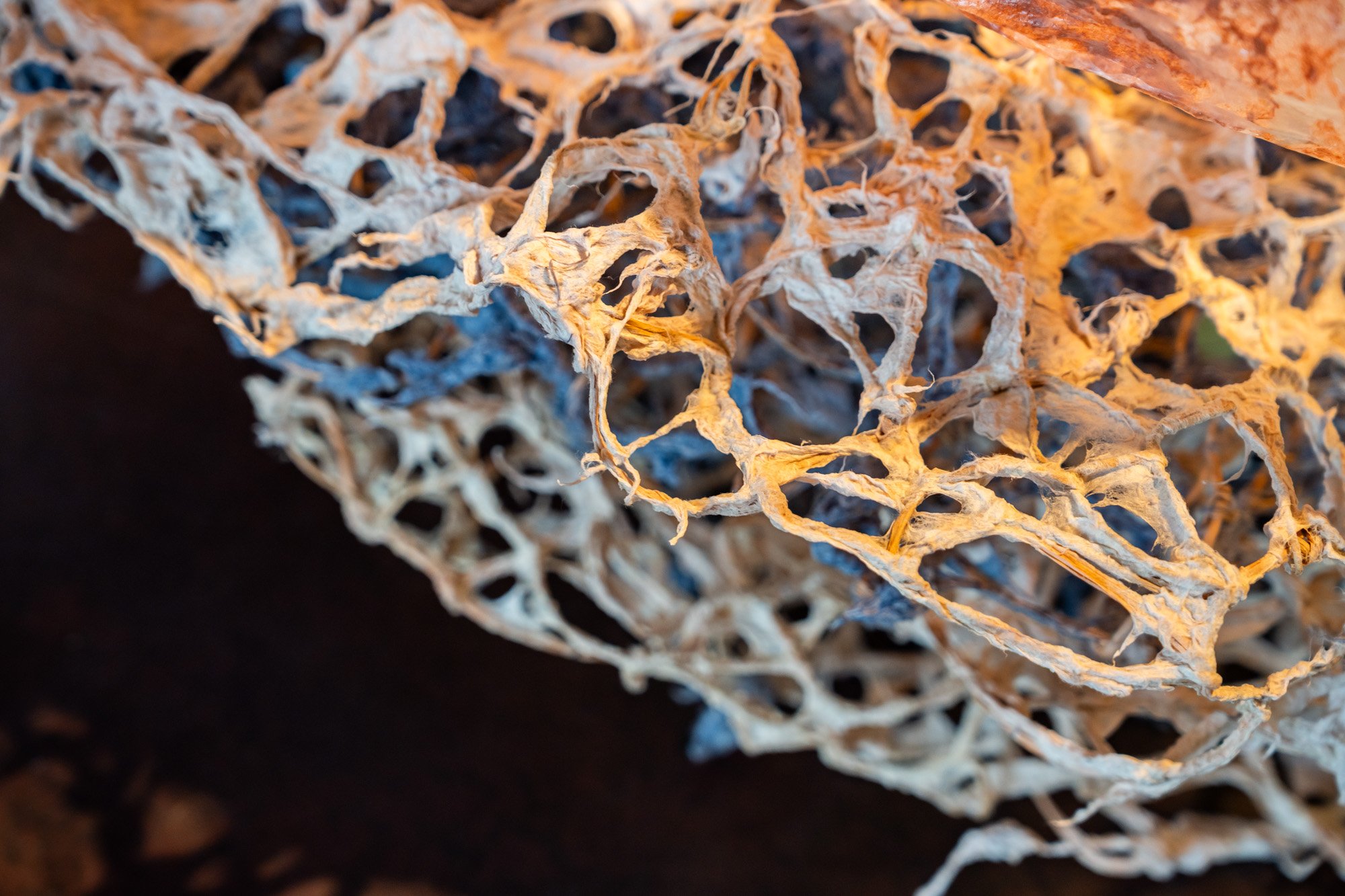 Ipswich Community Gallery 20260226 LR-35.jpg