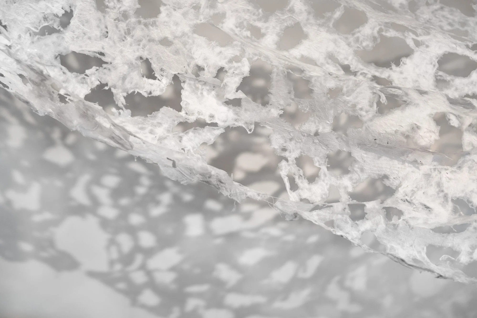 Ipswich Community Gallery 20260226 LR-37.jpg