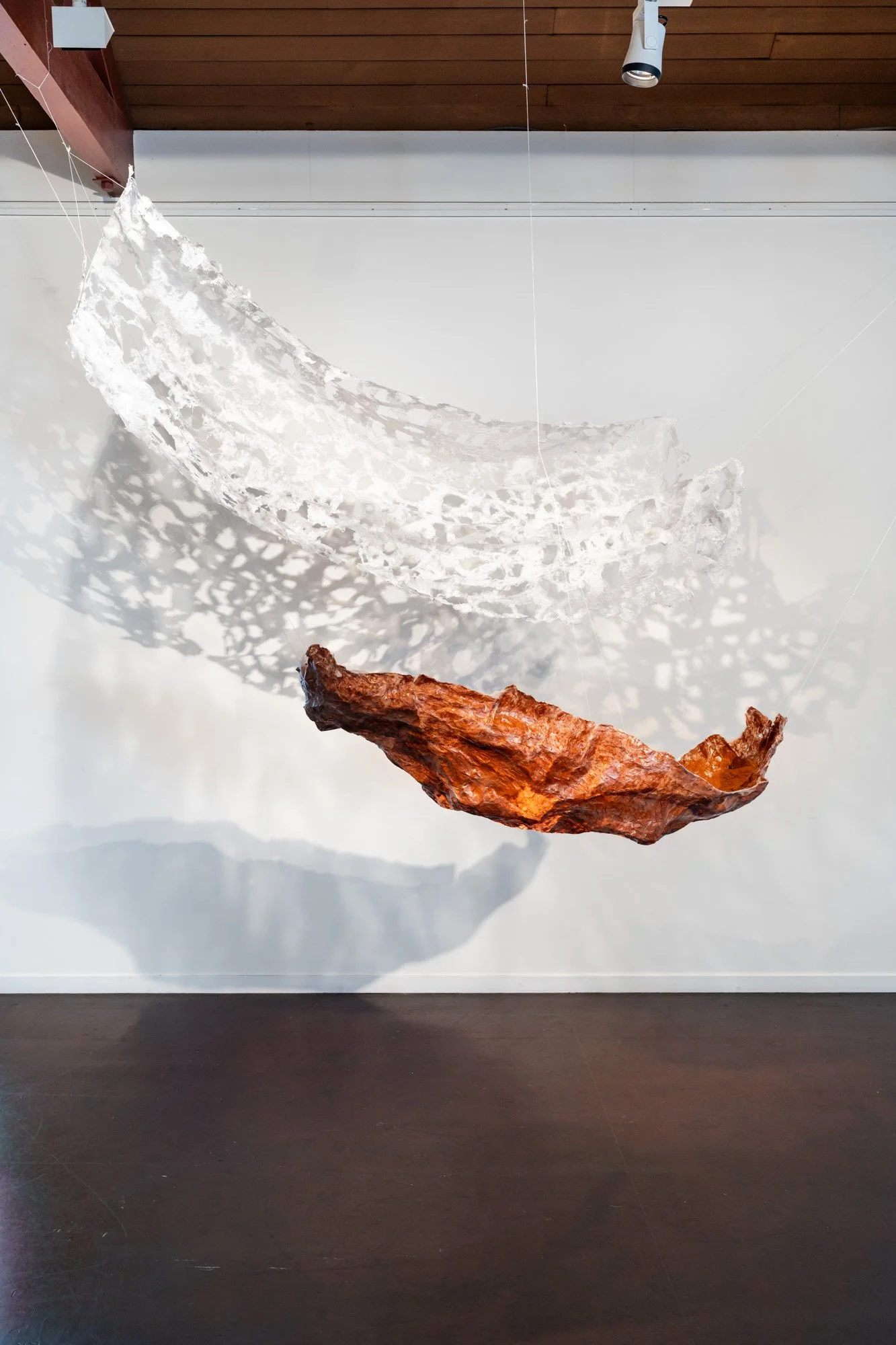 Ipswich Community Gallery 20260226 LR-19.jpg