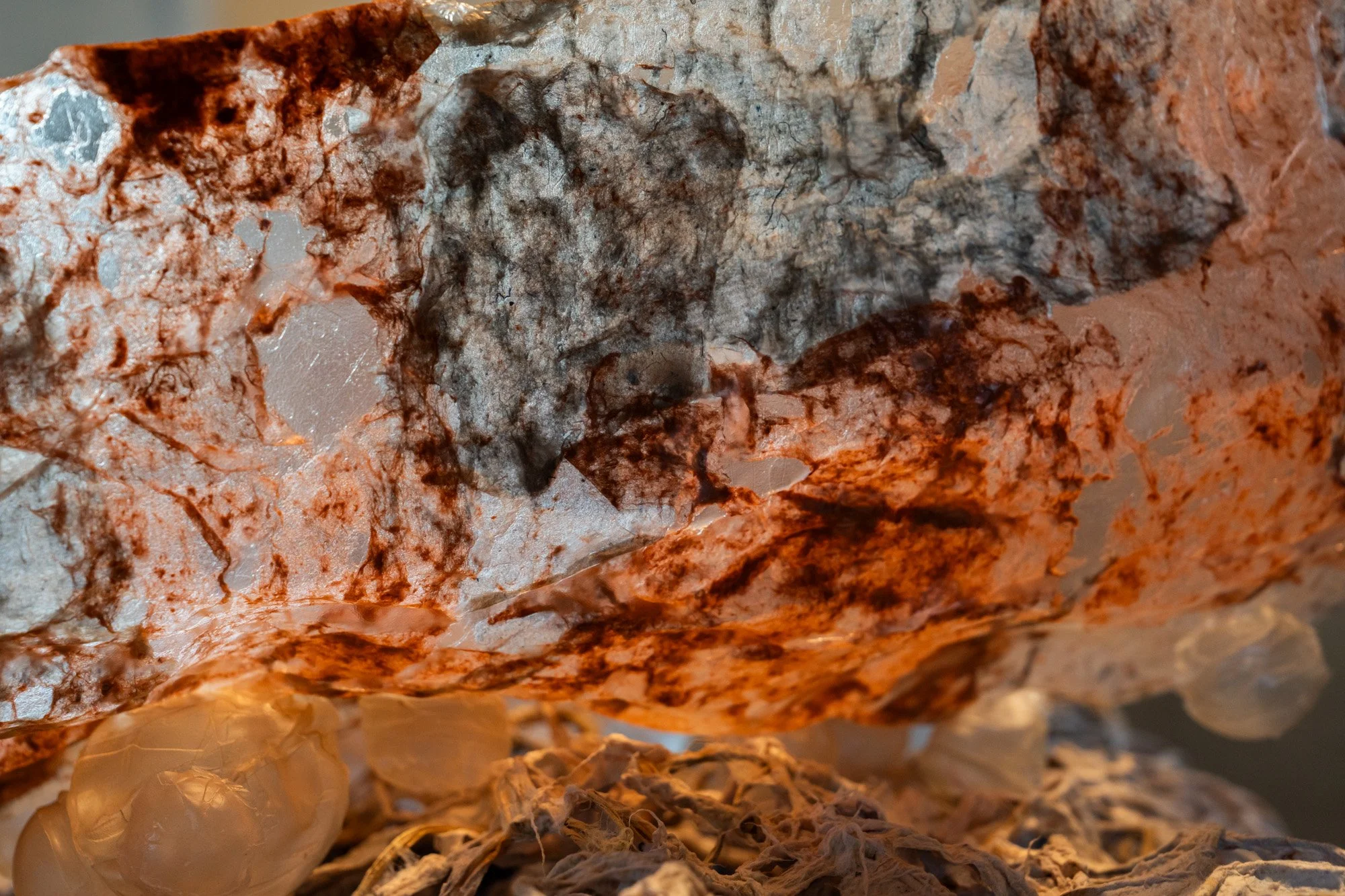 Ipswich Community Gallery 20260226 LR-75.jpg