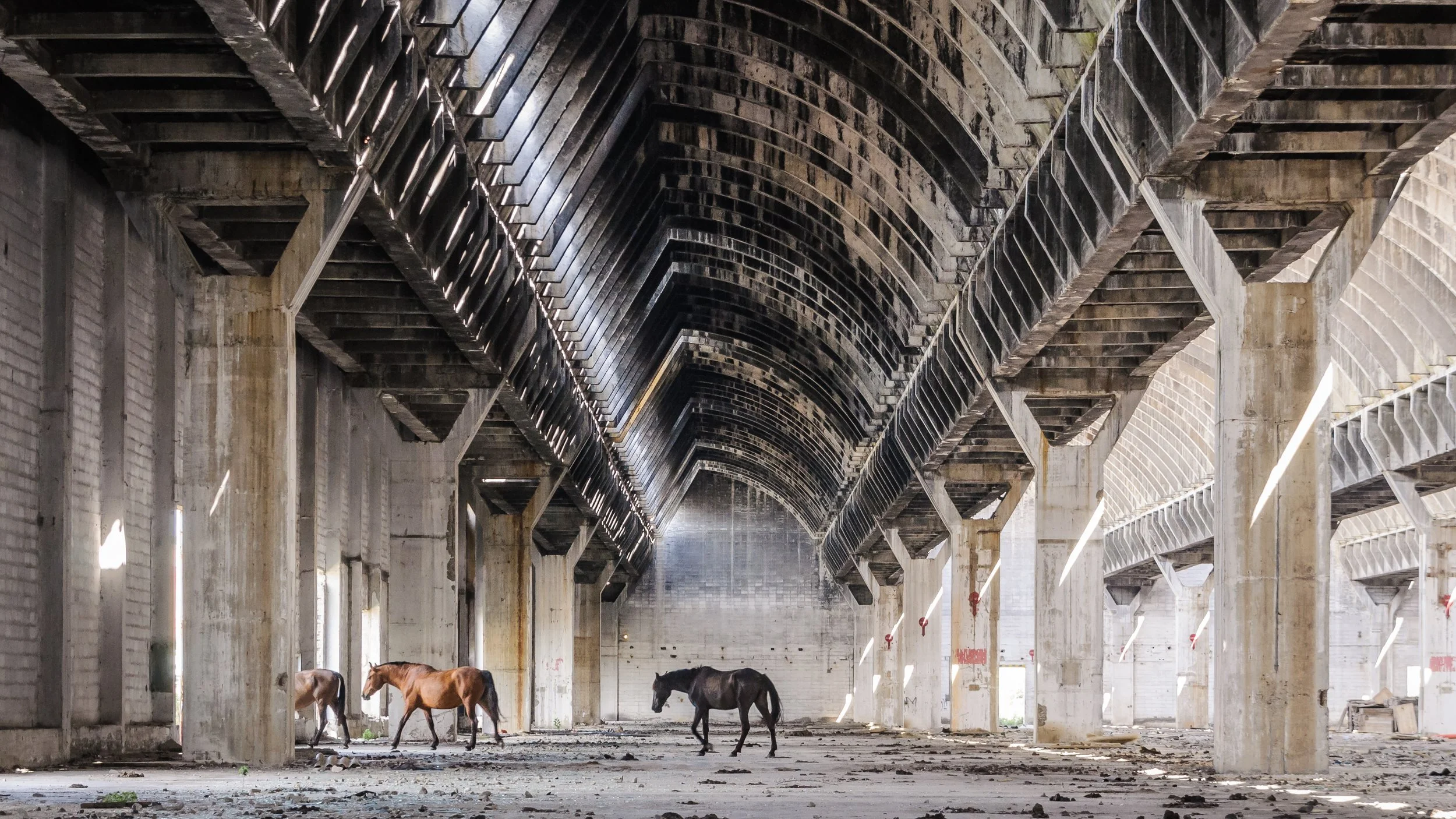 Landscapes Found-3.jpg