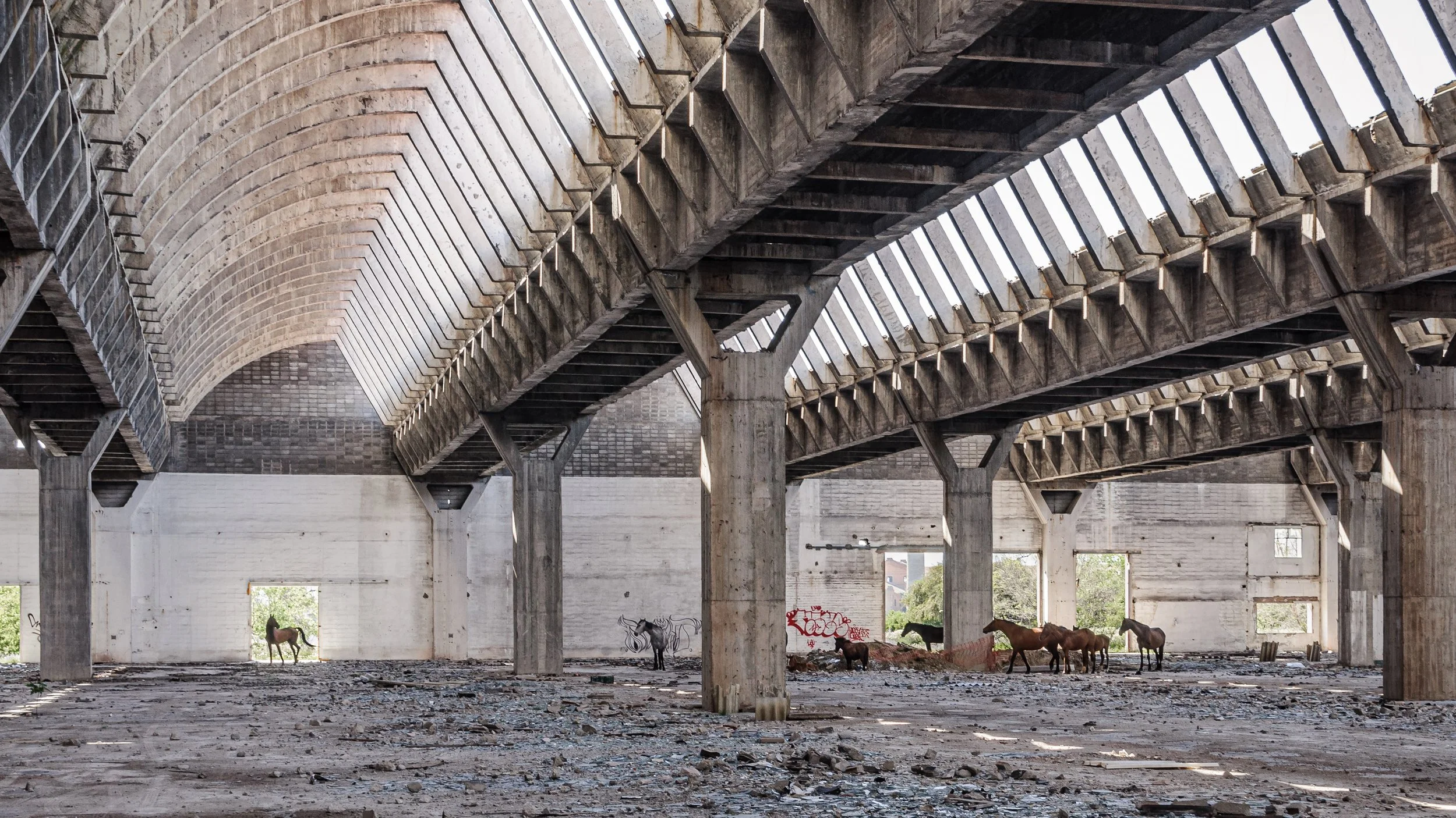 Landscapes Found-5.jpg