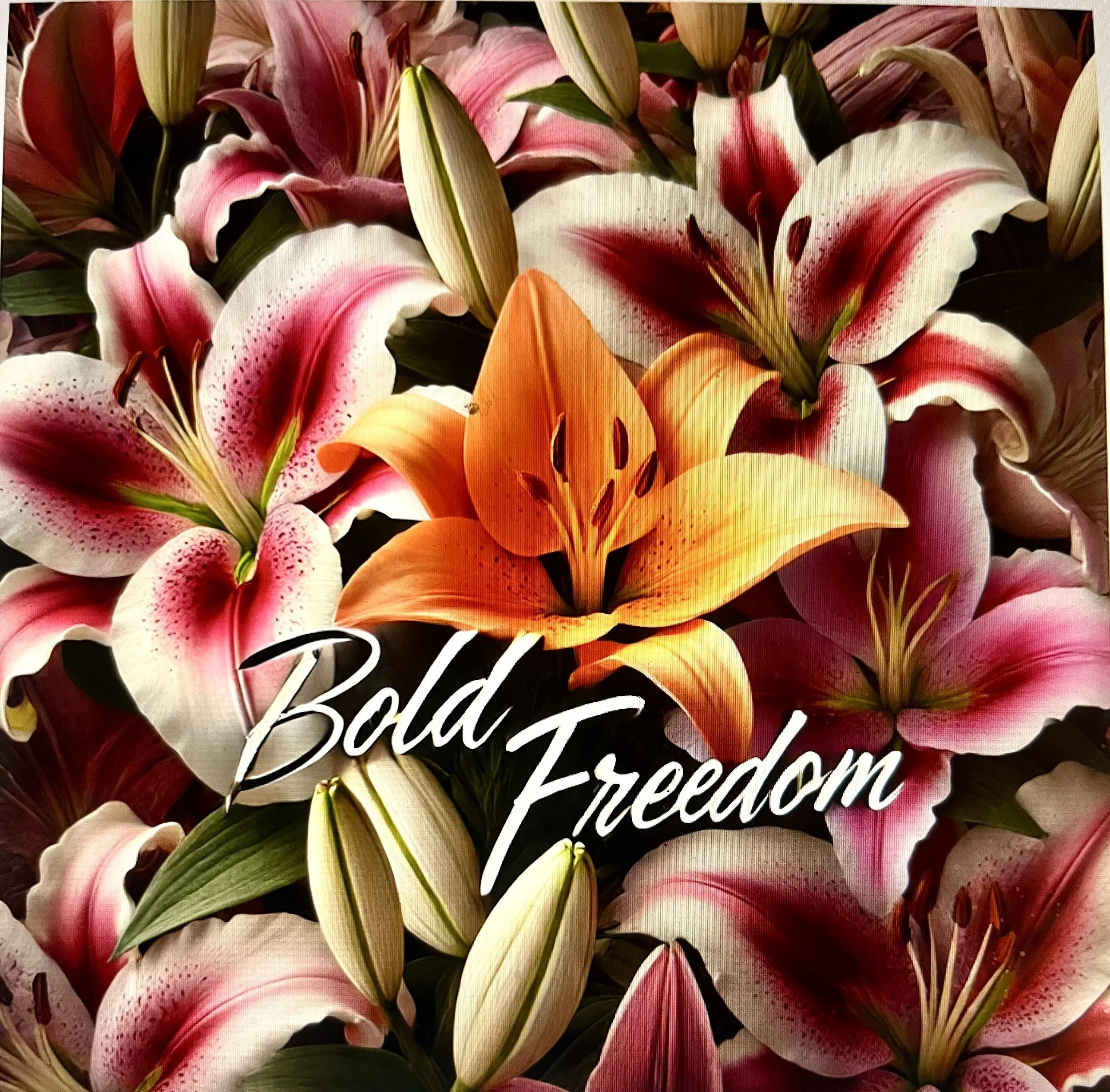 A digital floral backdrop with pink and white lilies surrounding an orange lily in the center, with the words "Bold Freedom" written in white cursive text over the flowers.