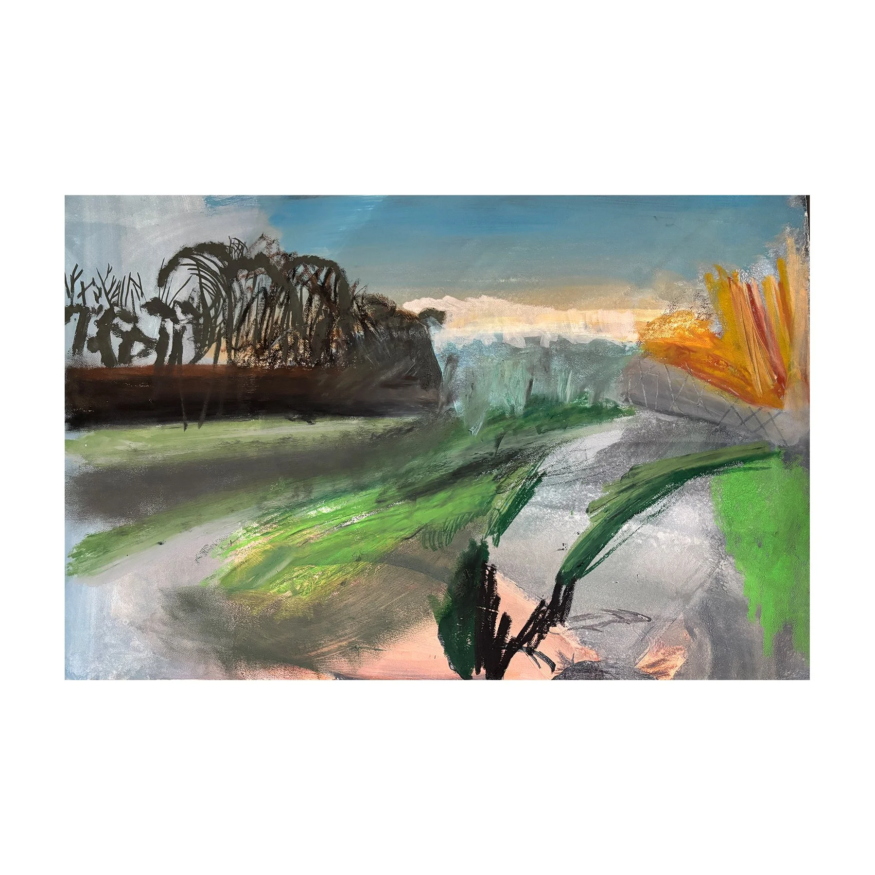 Selborne Spring