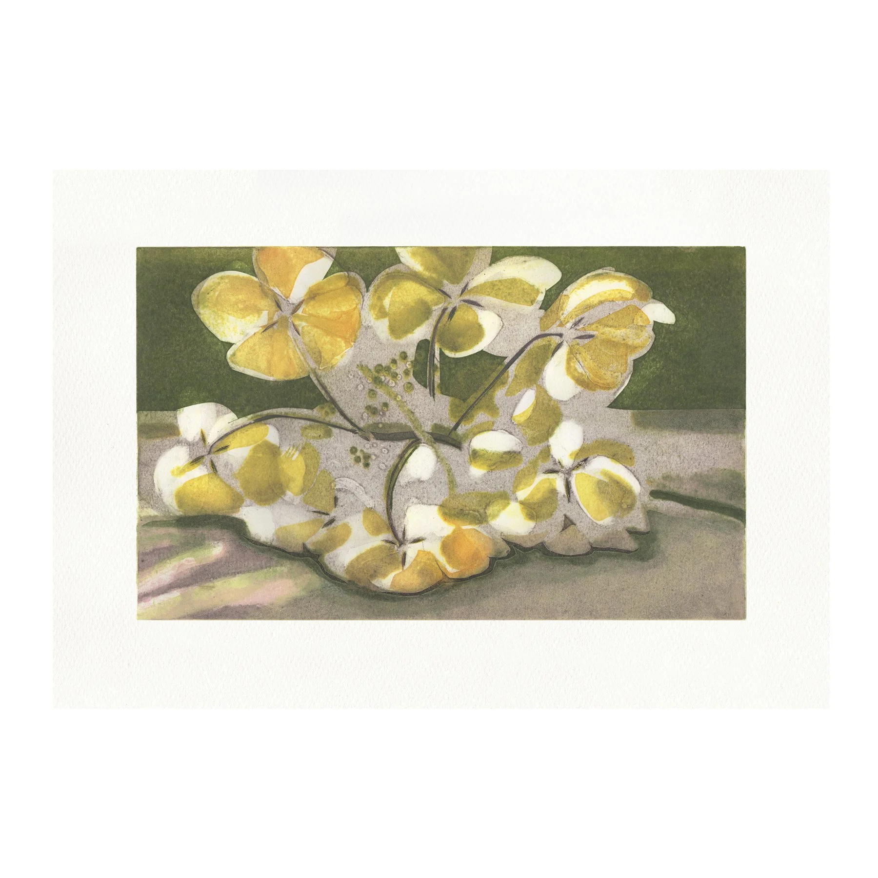 Katherine Jones RA
Involucrata (Late Love)
Collograph on paper, edition of 20
Paper size 41 x 58 cm / framed 48 x 64 cm
£685 + VAT unframed / £875 + VAT framed