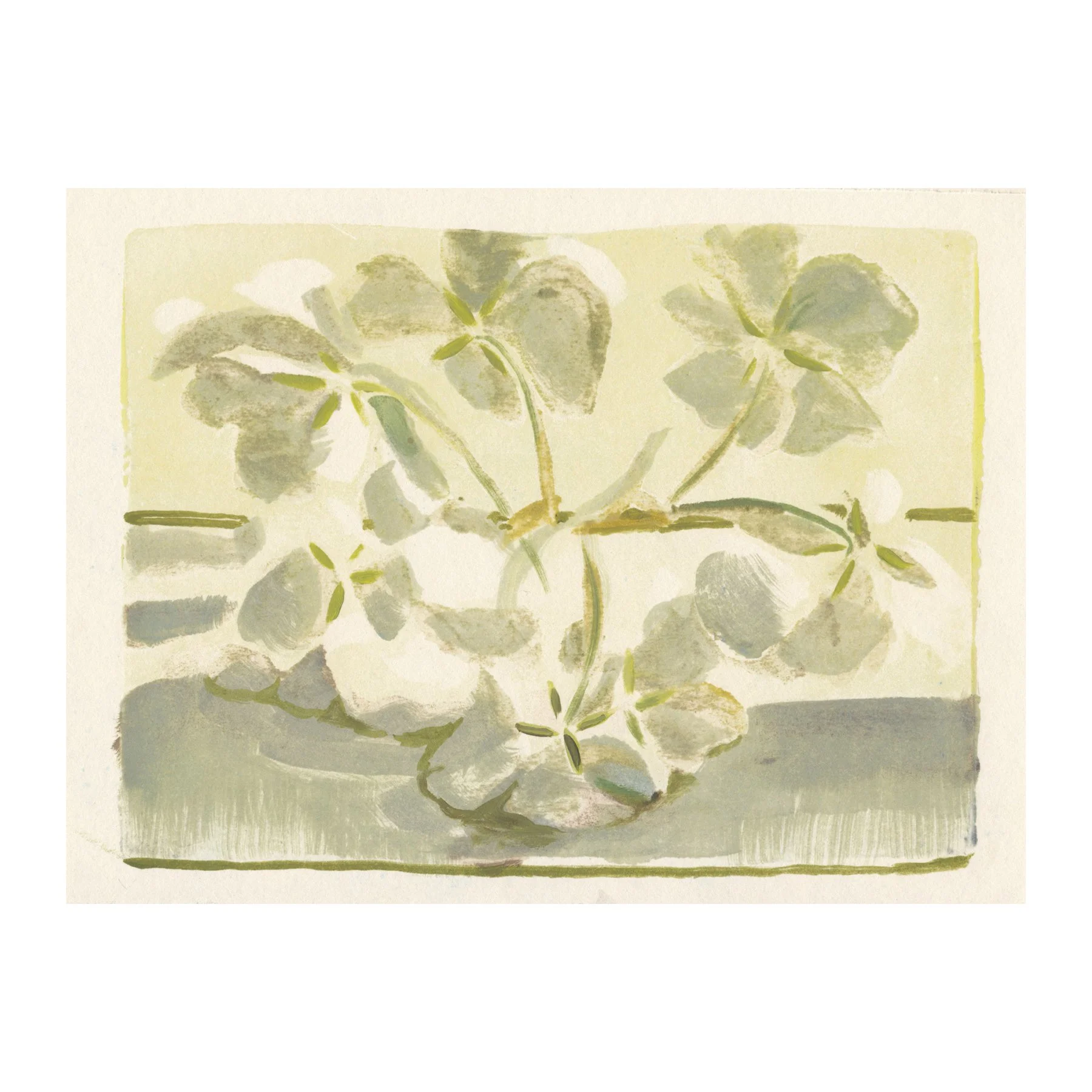 Katherine Jones RA
Sketch for Involucrata
Monoprint on paper, 1/1
Paper size 14.8 x 20.4 cm
£790 + VAT