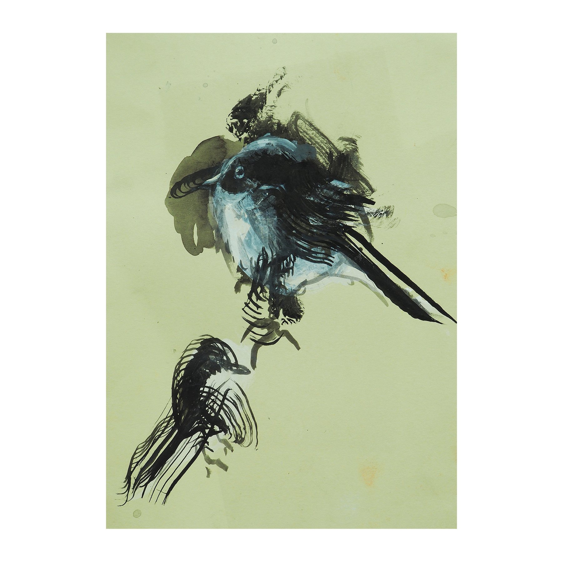 Louisa Chambers
Longtail Tits
Indian ink and acrylic paint on paper
29.5 x 21cm
£720