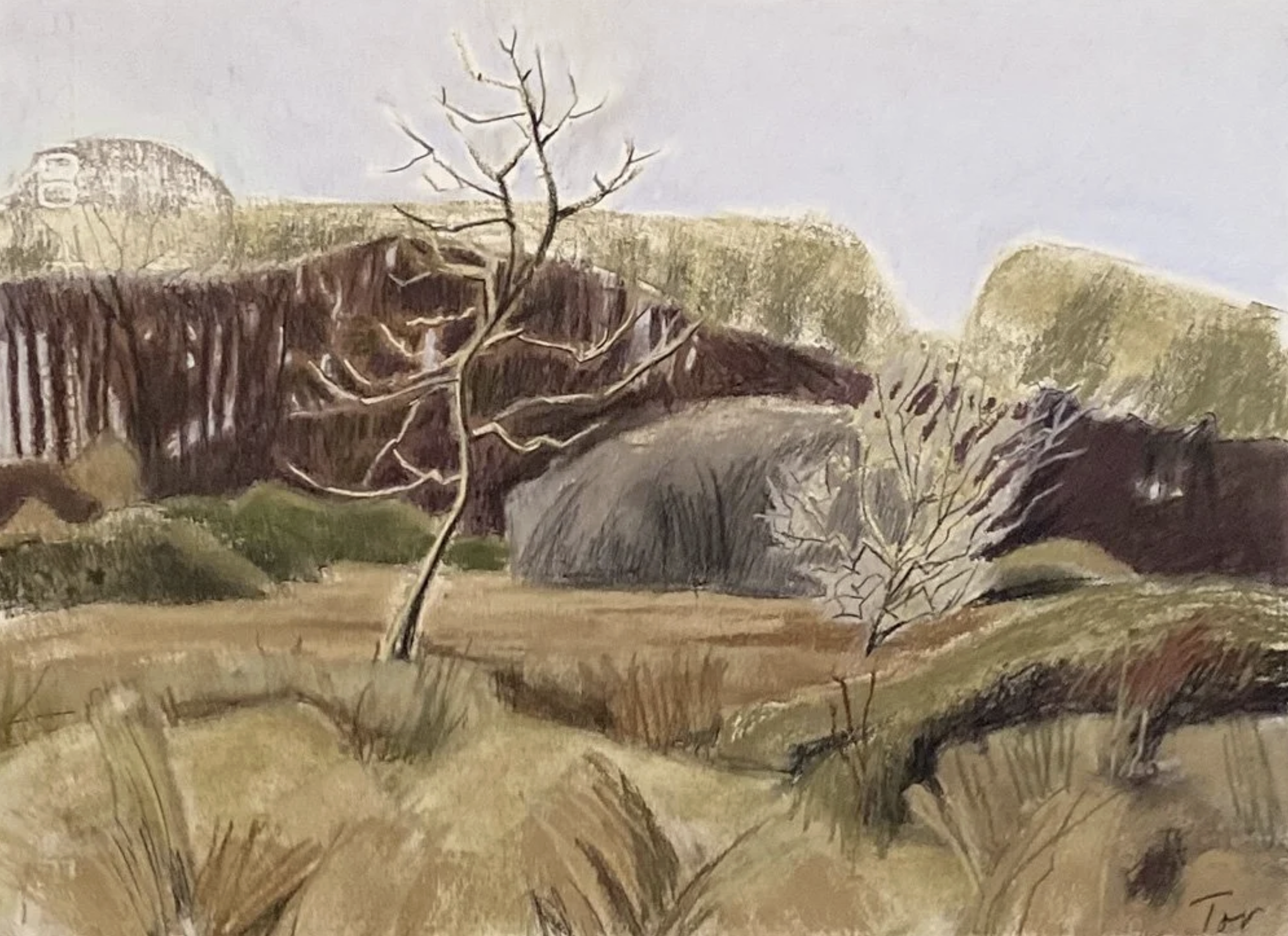 tor-falcon-WEB-PNG-December,-oak,-rush,-bramble,-thorn 2.png