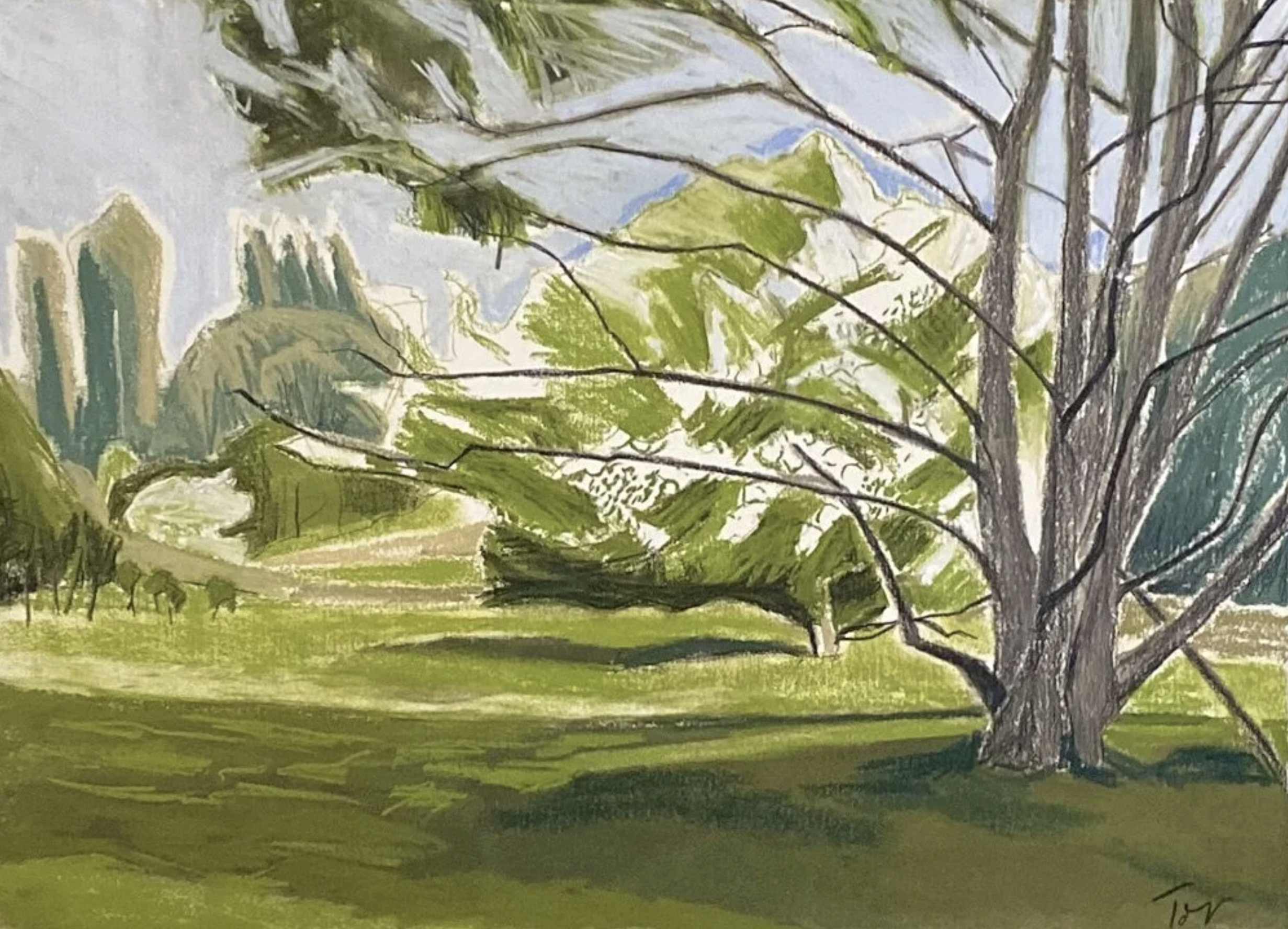 WEB-PNG-May,-alder,-whitethorn,-poplars 2-tor-falcon.png