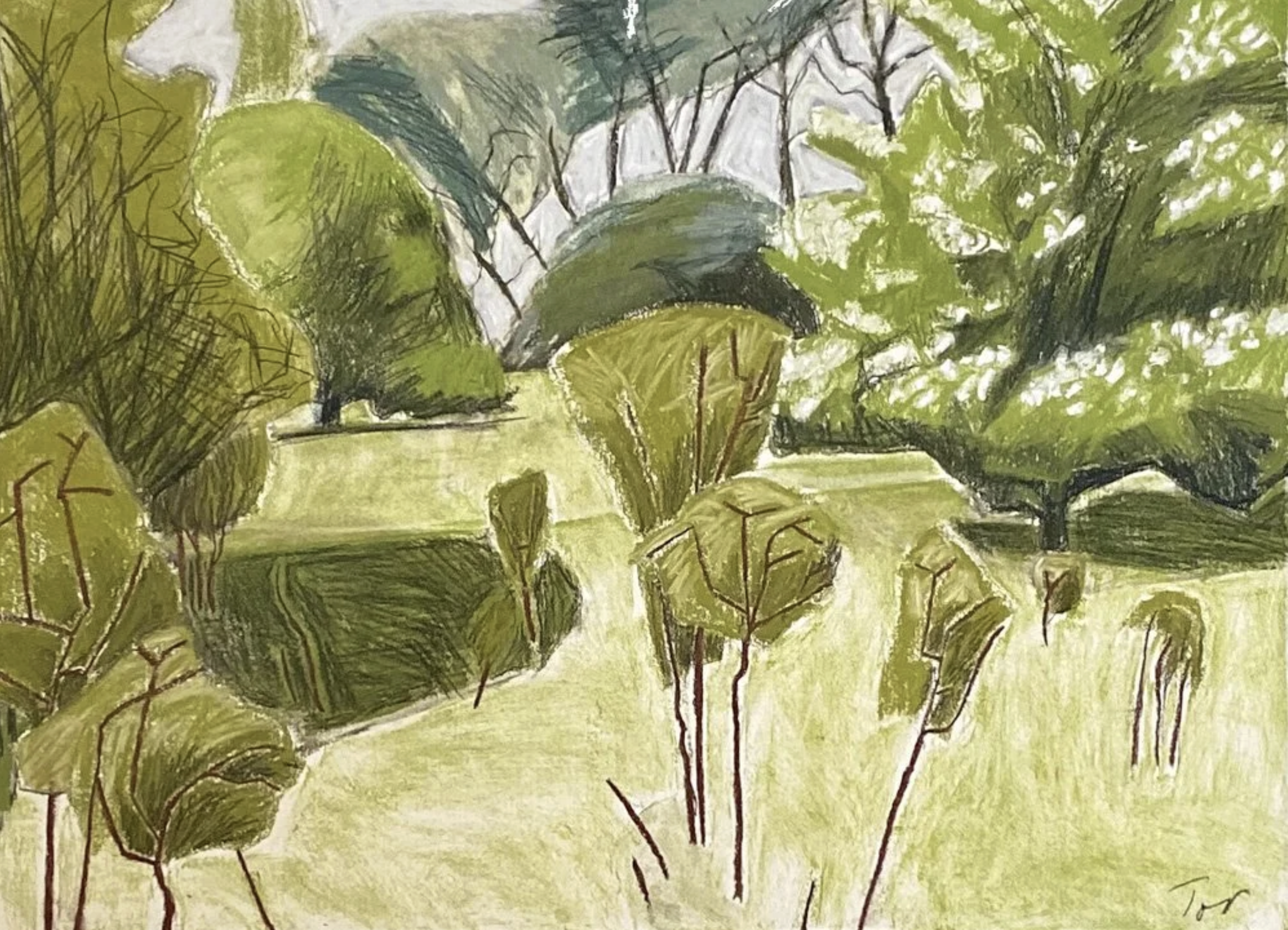 May-Blackthorn-Suckers-tor-falcon.png .png