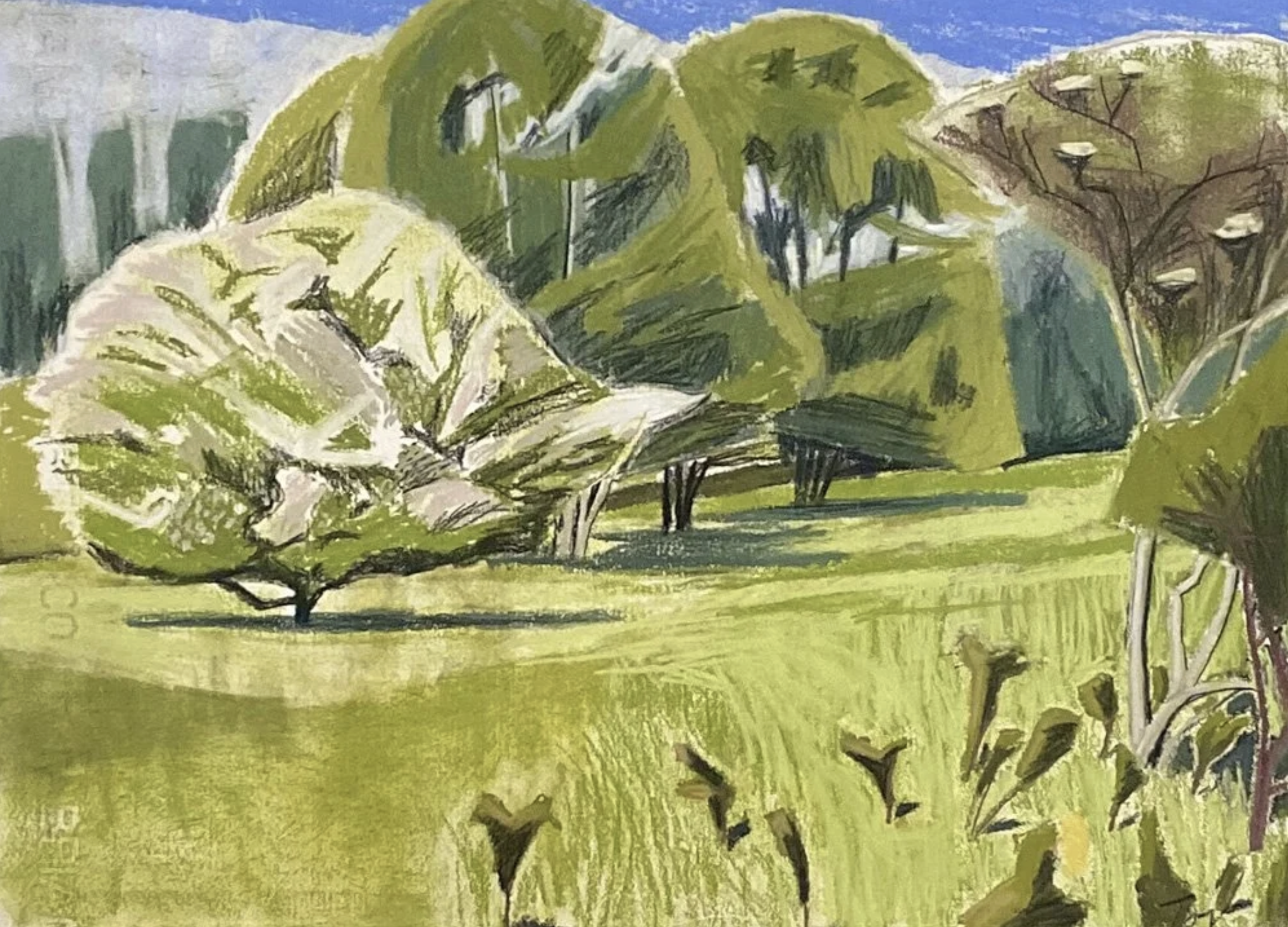 web-B-PNG-May,-whitethorn,-blackthorn-suckers,-elder-flowers 2.png