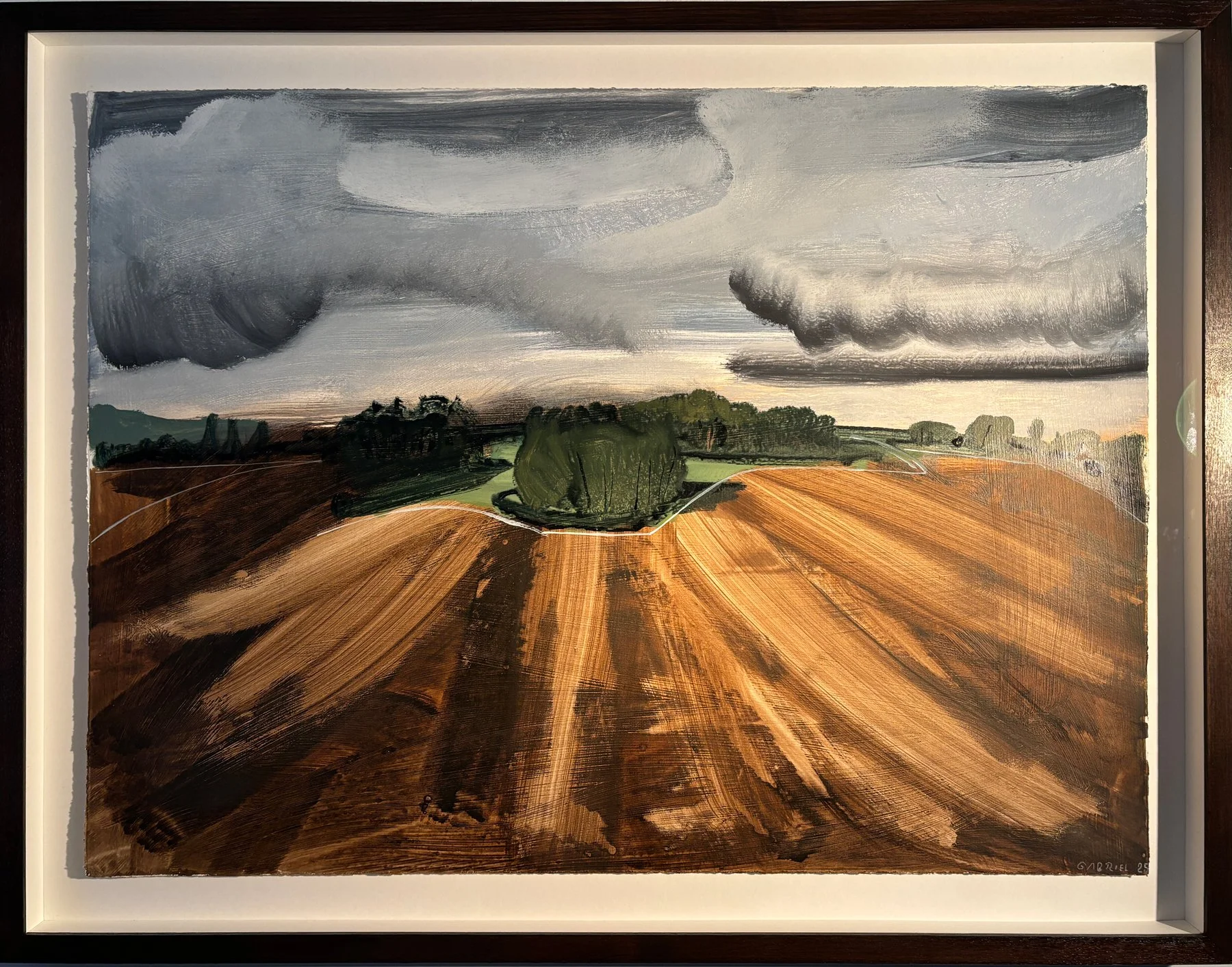 spinney-ploughed-field.jpg