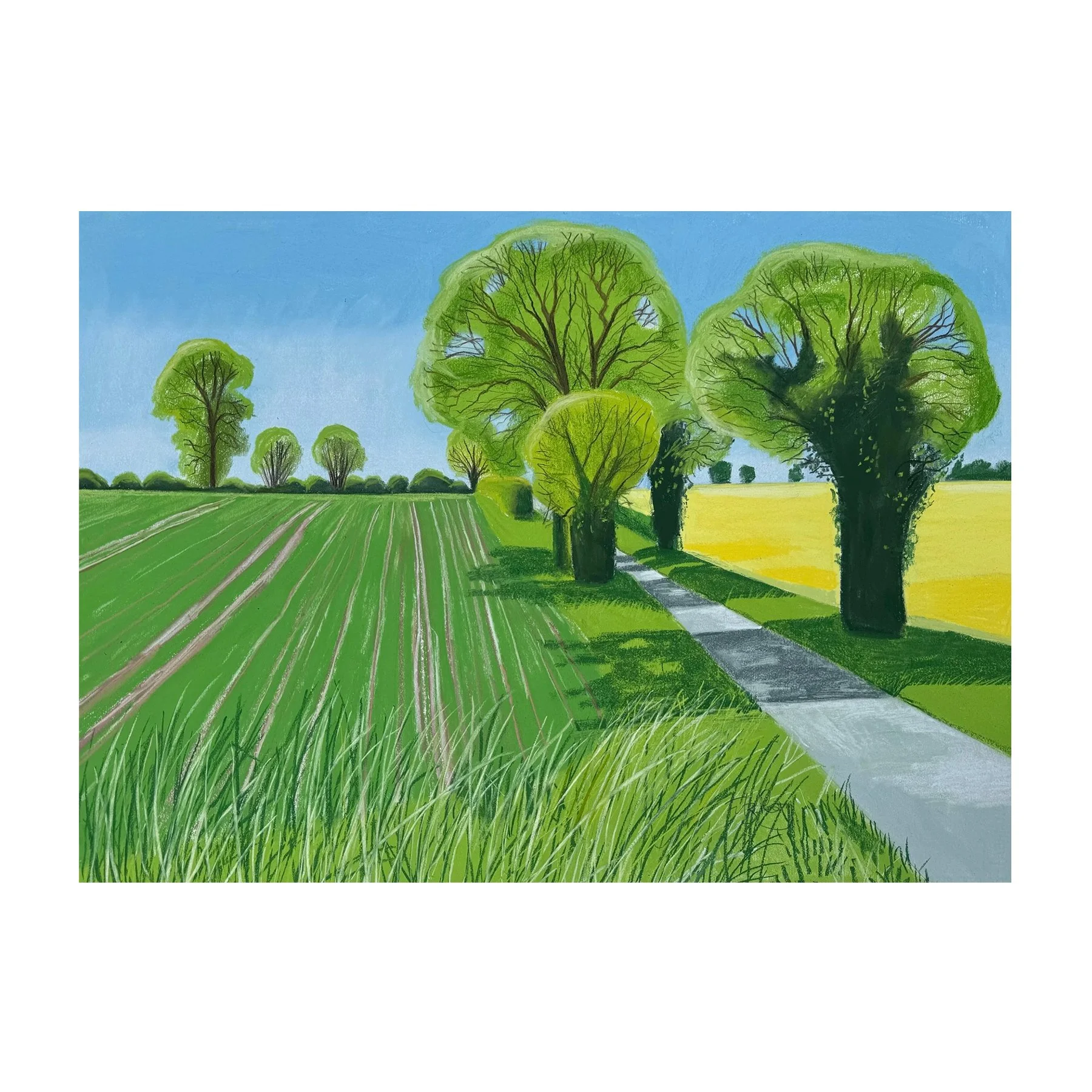 Transport Lane, May 2024