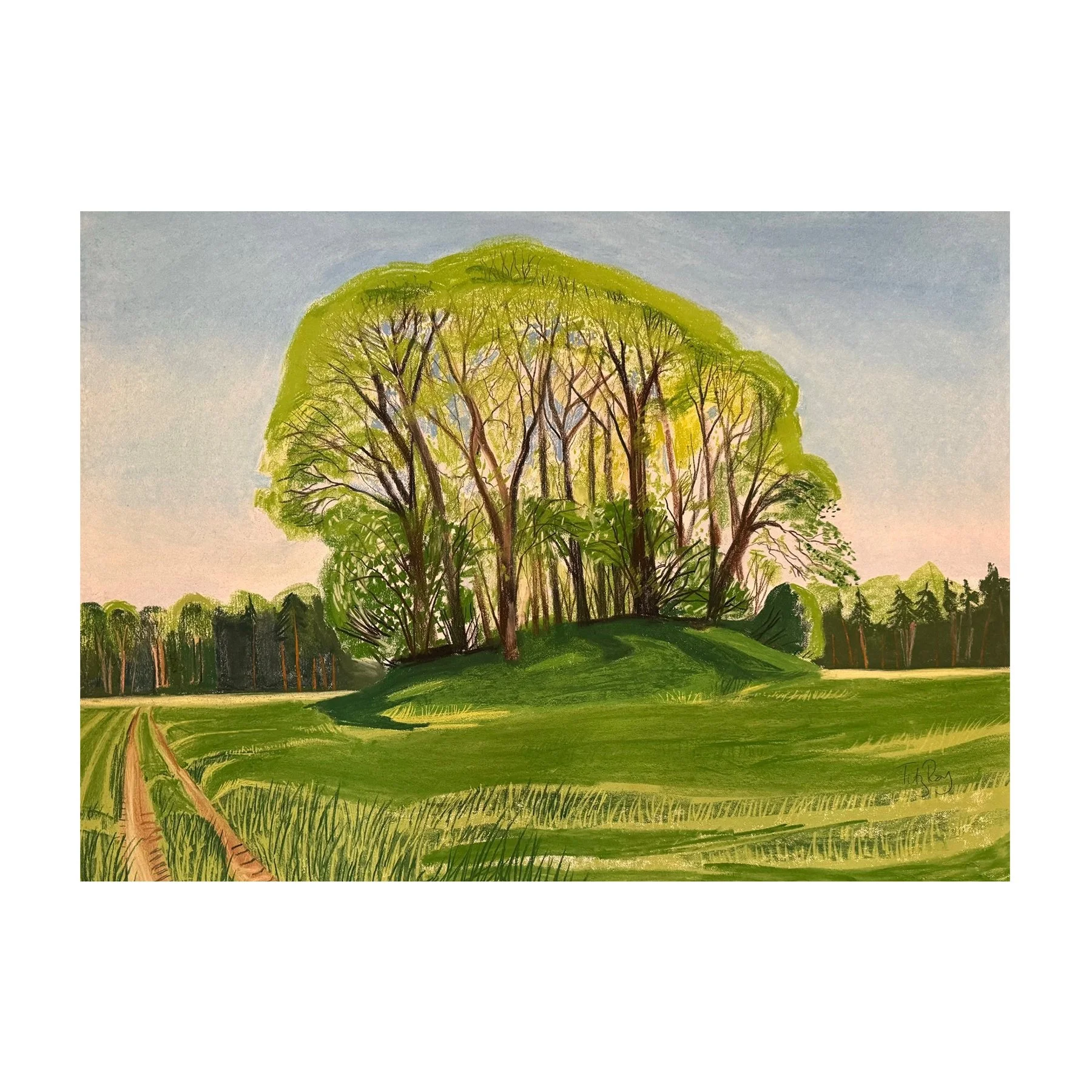Stand of Trees, May 2024